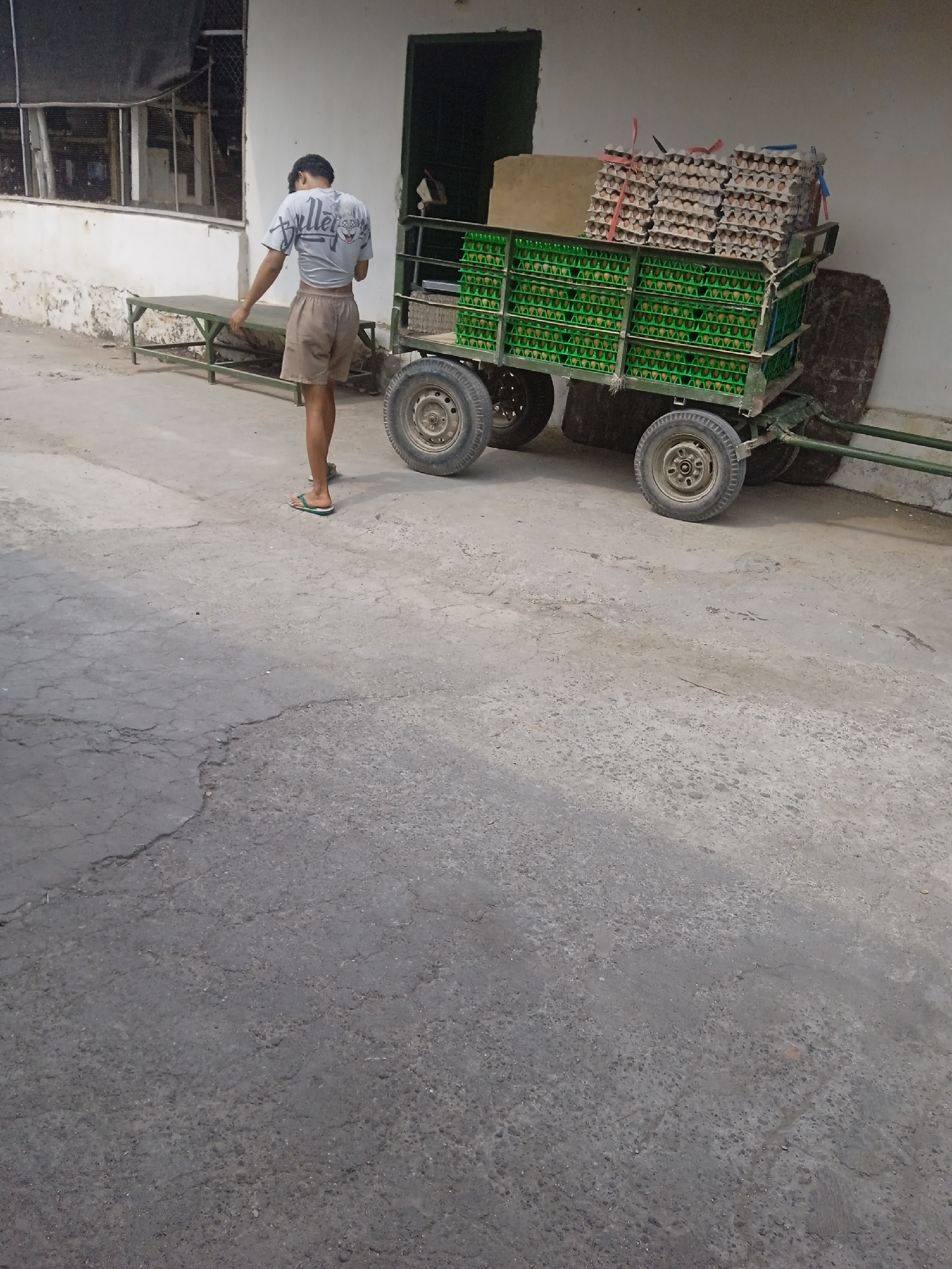 A young male, wearing a grey t-shirt with a cartoon graphic and beige shorts, stands on a cracked concrete surface, facing a green metal cart loaded with stacks of egg cartons. The cart is attached to a green metal frame with two wheels and appears to be a hand-pulled or towed trailer. In the background, a white building with a dark screened window and a doorway is visible. A green metal bench is situated between the male and the building. The scene is likely in Slorok, Indonesia, given the context provided. The overall environment suggests an outdoor storage or loading area, possibly related to an agricultural or food distribution business.