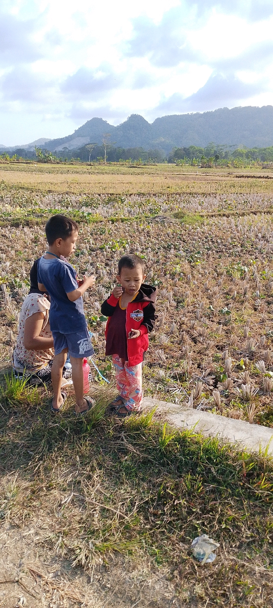 In the foreground of the image, two young boys stand in a dry, harvested rice field. The boy on the left, wearing a blue t-shirt and denim shorts, holds a small object in his hand. The boy on the right, dressed in a red and black jacket, burgundy t-shirt, and patterned pants, is also holding something small, possibly a leaf or a piece of food, near his mouth. To the left, a woman is partially visible, seated on the ground, wearing a patterned dress. A pink water bottle is placed on the ground near her. In the background, a vast expanse of dry, stubbled fields stretches towards rolling hills covered in trees. The sky above is partly cloudy with a soft, diffused light, suggesting it is either early morning or late afternoon. A concrete border runs along the bottom of the frame, separating the grassy foreground from the field. The scene appears to be a rural landscape in Geblug, Indonesia, likely a village or agricultural area, given the presence of rice paddies and the natural topography.