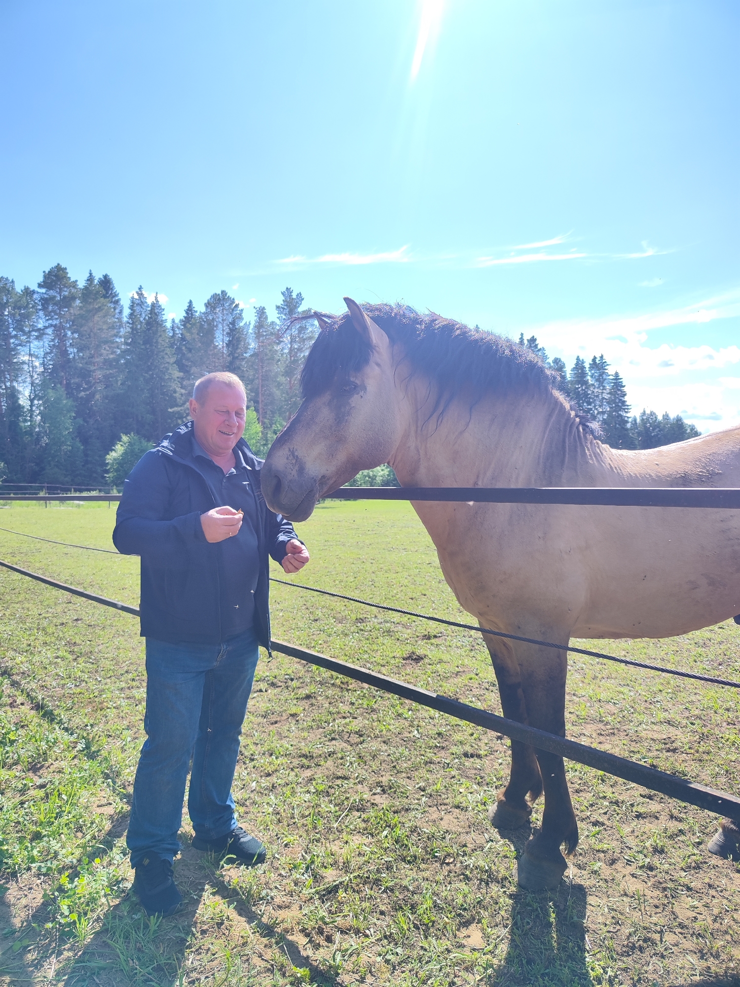 A middle-aged man stands in a field, holding something small in his hands, with a horse standing closely beside him. The man is wearing a dark blue jacket, blue jeans, and black shoes. He is facing the horse and appears to be smiling. The horse is light brown with a darker mane and tail. They are standing behind a black metal fence in a grassy field, under a bright blue sky with a few clouds and a bright sun. In the background, there is a line of trees. The location is the city of Unknown, Unknown.