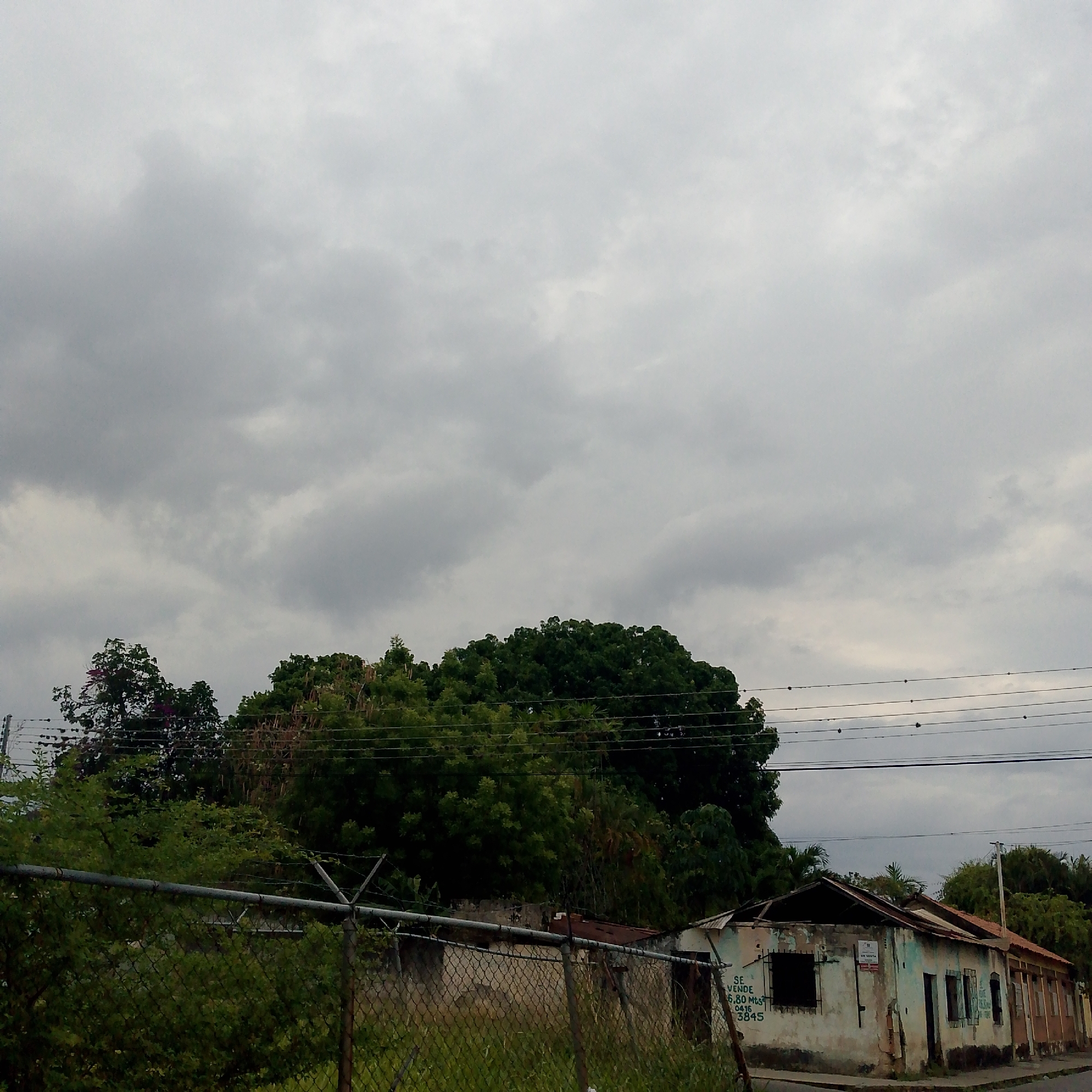 The image captures an outdoor scene in Tinaquillo, Venezuela, dominated by a heavily overcast, cloudy sky that suggests a somber or pre-storm daytime atmosphere. Below the expansive sky, a dense array of vibrant green trees forms a thick line across the horizon, indicating lush vegetation.
In the mid-ground, a chain-link fence topped with barbed wire stretches horizontally, partially obscured by overgrown grass and smaller bushes in the foreground. Beyond this fence, several old, single-story, and visibly dilapidated buildings line what appears to be a street or property boundary. The structure on the left is particularly run-down, featuring a partially collapsed roof with exposed beams, missing window panes, and peeling, discolored paint on its walls.
On or near this first building, handwritten text in white is visible, reading "SE VENDE" (For Sale), followed by "6.80 Mts" (likely indicating dimensions) and a phone number: "0416 3845". A smaller, possibly printed "EN VENTA" (Also For Sale) sign is also affixed to the same structure. To the right, other attached buildings continue in a similar state of disrepair, with cracked walls and faded paint. Multiple utility poles and power lines traverse the scene above the buildings and trees. There are no people visible, and no specific activities are taking place, creating a static scene that conveys a sense of neglect and abandonment within a verdant setting.
