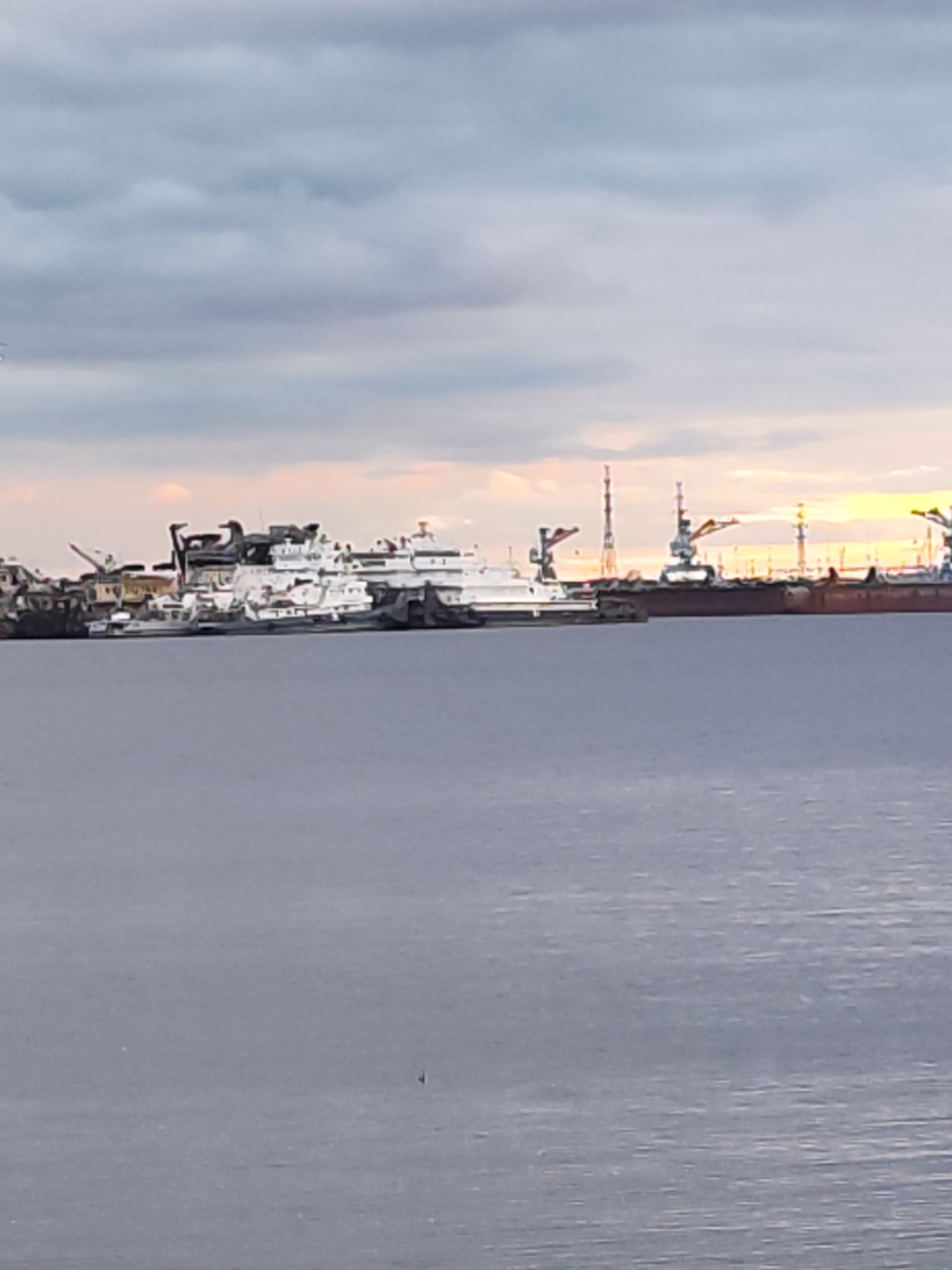 This image depicts a maritime scene with several large vessels and industrial structures along a waterfront, likely a shipyard or port. In the foreground, a wide expanse of calm, grey water occupies the lower half of the frame. The background features a fleet of ships, some appearing to be under construction or repair. One prominent vessel in the center is white with dark accents, possibly a ferry or a passenger ship. To its right, larger, darker hulls of other vessels are visible, along with tall industrial cranes and towers. The sky above is overcast with grey clouds, but the setting sun is breaking through on the right side, casting a warm, orange glow, suggesting it is either sunrise or sunset. The overall mood is one of industrial activity and the vastness of the sea, tinged with the softness of twilight. There is no visible text in the image. The location context indicates Chaikovsky, Russia.