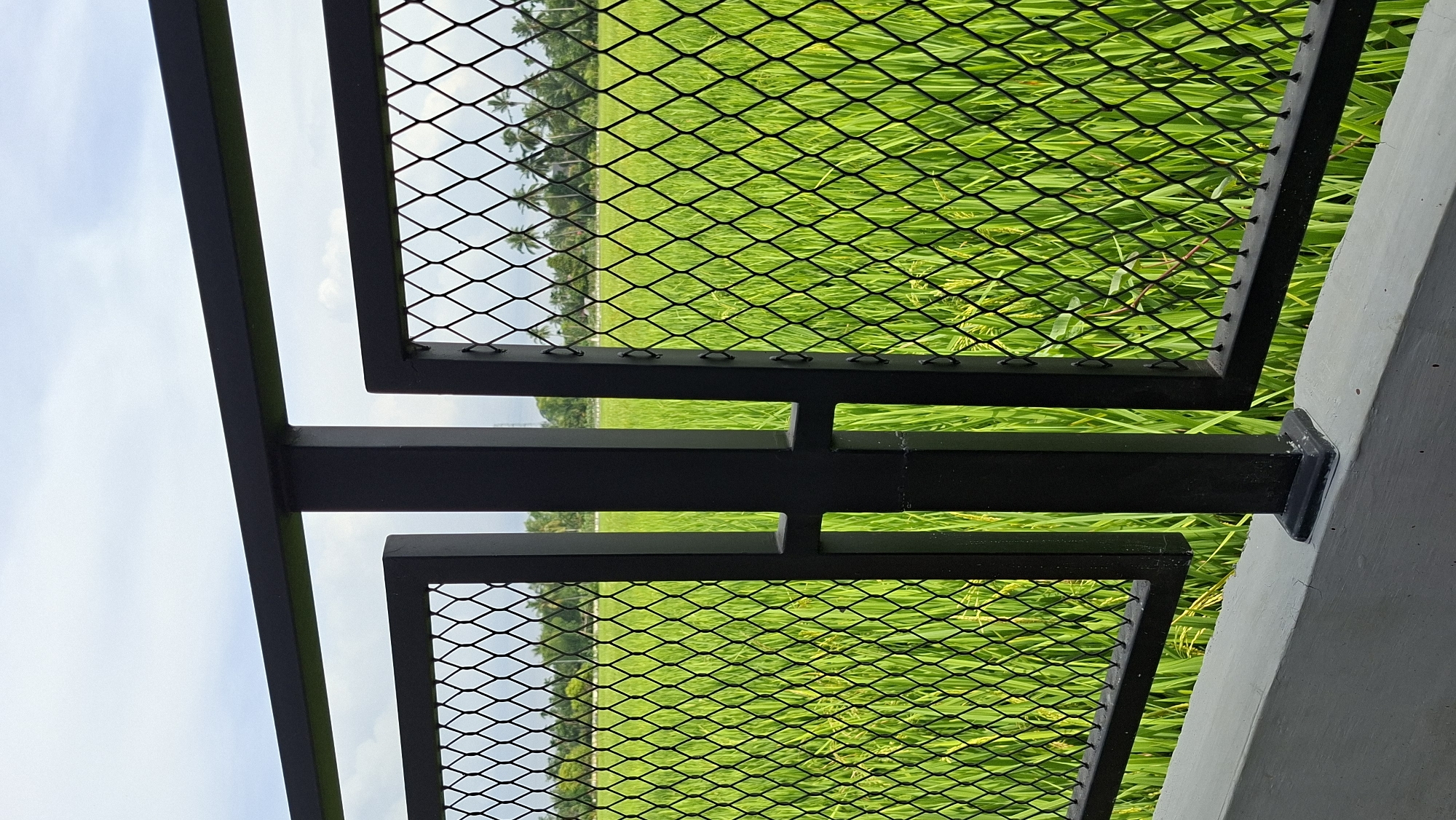 An outdoor, eye-level, vertical shot shows a black metal fence in the foreground, separating the viewer from a lush green rice paddy. The fence is constructed of diamond-shaped mesh and thick black metal posts and bars, with a gap in the center that allows a view of the field beyond. The rice paddy stretches out to the horizon, dotted with scattered palm trees. The sky above is a pale blue with a few scattered clouds. The scene appears to be in Keudebayu, Indonesia, a location known for its agricultural landscapes. The image is sharp and well-lit, with natural light illuminating the scene. There are no people or animals visible in the frame. The overall impression is one of tranquil rural beauty.
