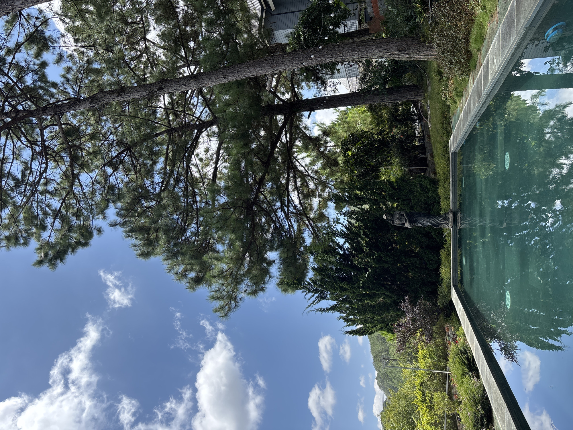 The image depicts an outdoor swimming pool with a dark green surface reflecting the sky and surrounding vegetation. To the left of the pool, there are lush green bushes and plants, with a statue of a woman standing at the corner of the pool. In the background, tall pine trees dominate the scene, with their branches reaching towards a bright blue sky dotted with white clouds. A portion of a building with a gray facade and balconies can be seen nestled amongst the trees on the right. The landscape suggests a serene, possibly elevated location with hills visible in the distance, characteristic of the mountainous terrain found in Da Lat, Vietnam, known for its pine forests and cooler climate.