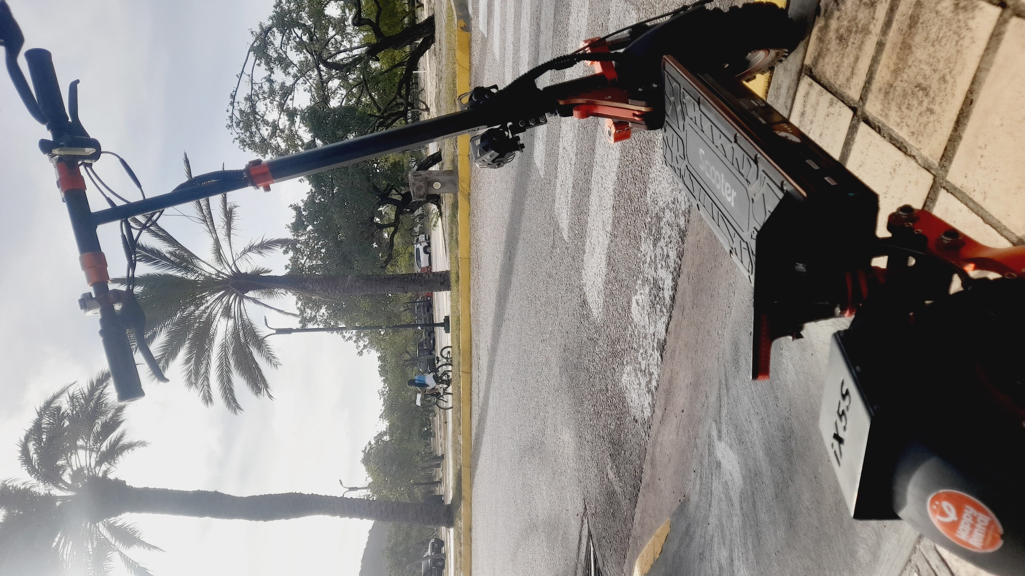 An electric scooter is parked on a paved area next to a street, with a pedestrian crossing visible. In the background, palm trees, other trees, and parked cars are present. A person on a bicycle is also visible in the distance, near the street. The sky is overcast. The image appears to be taken in the city of Pedro González, Venezuela, characterized by its tropical climate and vegetation.