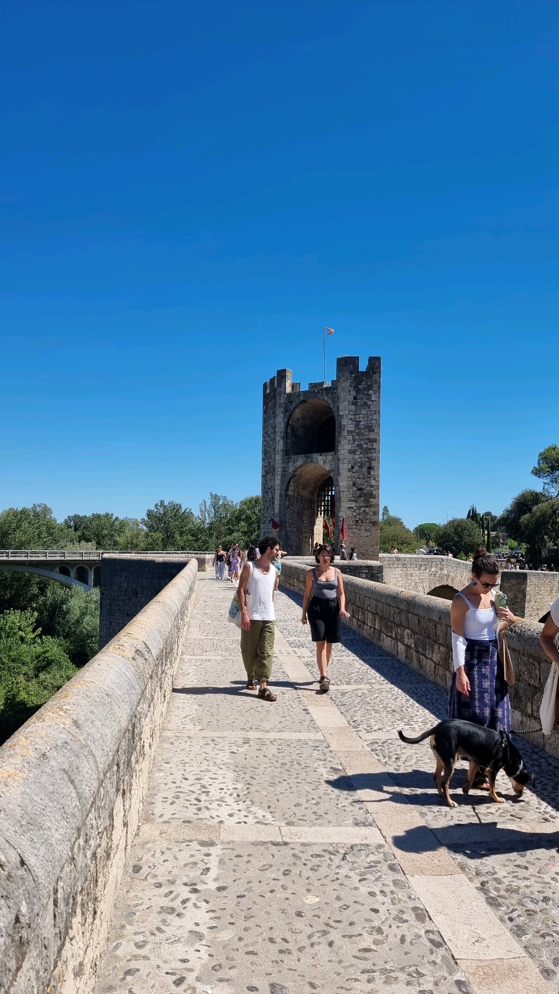 The image depicts a sunny day in Besalú, Spain, focusing on the medieval stone bridge leading to the fortified town. In the foreground, a black dog on a leash walks on the cobblestone path, casting a shadow. To the right, a woman in a white top and a blue and white patterned skirt is walking, holding a light-colored bag. Further along the bridge, two individuals are walking towards the camera: a person in a white tank top and loose green pants, carrying a tote bag, and a person in a dark tank top and dark shorts. Behind them, other pedestrians are visible on the bridge, and in the distance, a large stone archway, characteristic of Besalú's architecture, dominates the scene. Trees and greenery are visible on either side of the bridge, and a modern bridge spans a river in the far left background. The sky is clear blue.
