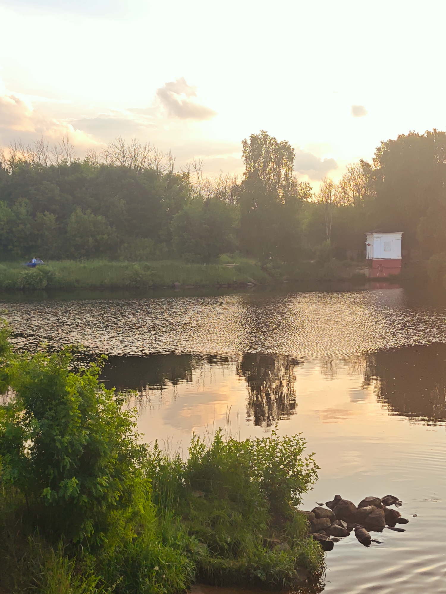 This is an eye-level, full shot of a body of water with a vegetated bank on the left and a tree-lined bank on the right. The water is calm and reflects the sky, which is pale yellow and orange, indicating sunset. There are several rocks in the foreground on the right, with some greenery growing on the bank behind them. Further back on the right bank, there is a small white and red building situated at the water's edge. On the left bank, there is lush green vegetation, and in the distance, a small blue object, possibly a boat or tent, can be seen. The overall scene is serene and natural, with the warm tones of the sunset creating a peaceful atmosphere. The location is identified as the Sestra River in Dedenevo, Russia.