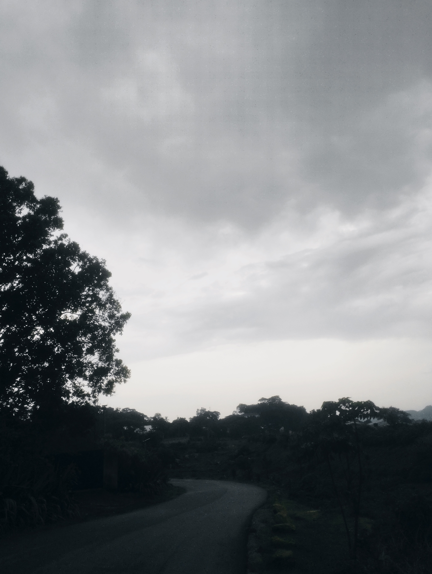 A dark, overcast sky looms over a winding, grey asphalt road that curves through a densely vegetated landscape. On the left, a large, silhouetted tree with intricate branches dominates the foreground. The road is empty of any vehicles or pedestrians. Beyond the road, a line of dark, indistinct trees and foliage forms a dense border, with some hints of buildings or structures nestled within the greenery. The overall mood is somber and atmospheric, suggesting a rural or semi-rural setting, potentially on the outskirts of Jos, Nigeria, characterized by its natural vegetation and open spaces.