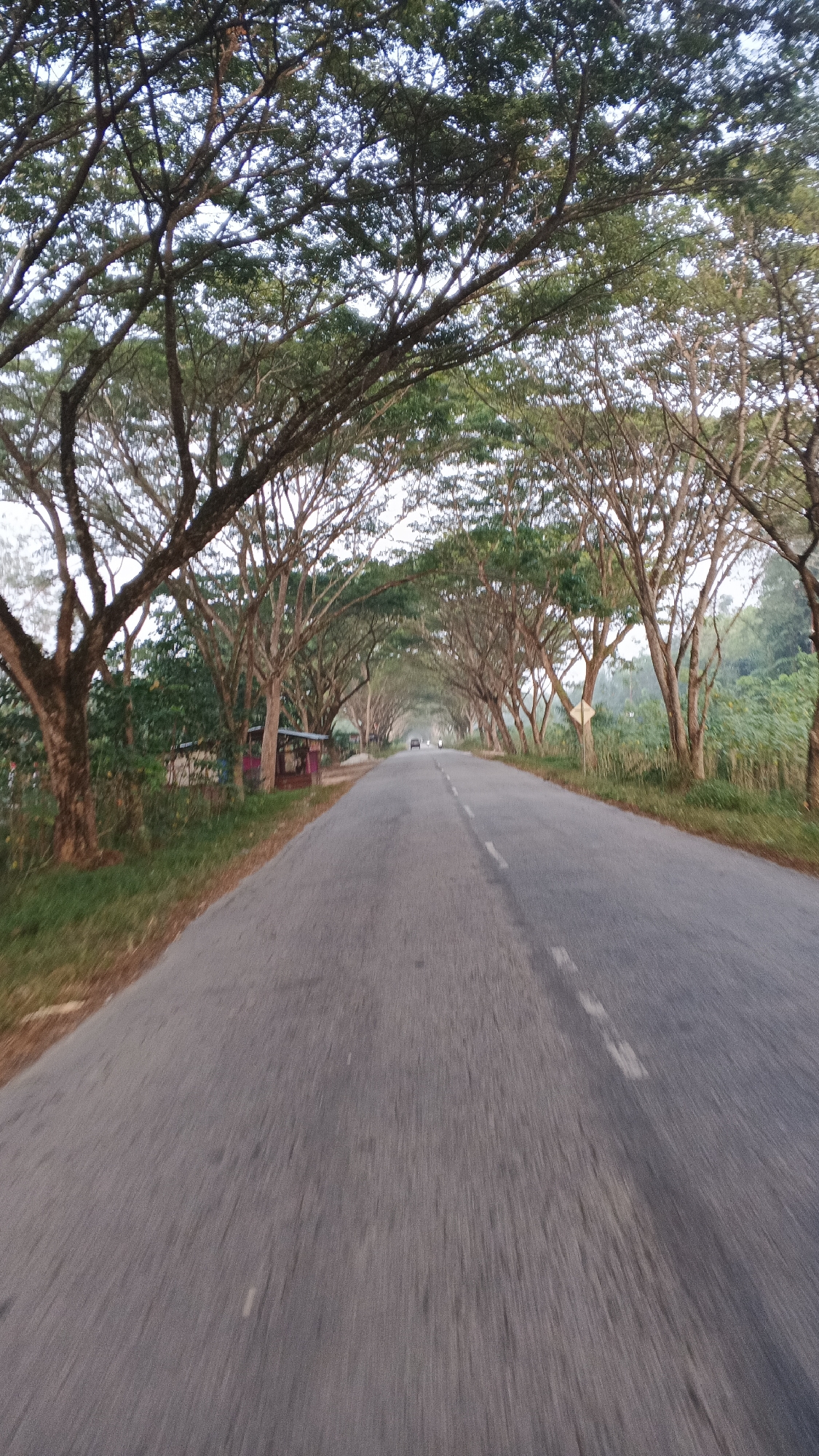 An asphalt road, bordered by lush green foliage and overhanging trees, curves into the distance. The trees form a natural canopy over the road, creating a tunnel-like effect. A white dashed line marks the center of the road. A small, shaded structure, possibly a roadside stall, is visible on the left side of the road, near the foreground. A few vehicles are sparsely scattered along the road ahead. The sky above is a pale blue, indicating either early morning or late afternoon. The image was captured in Rawang Air Putih, Indonesia.