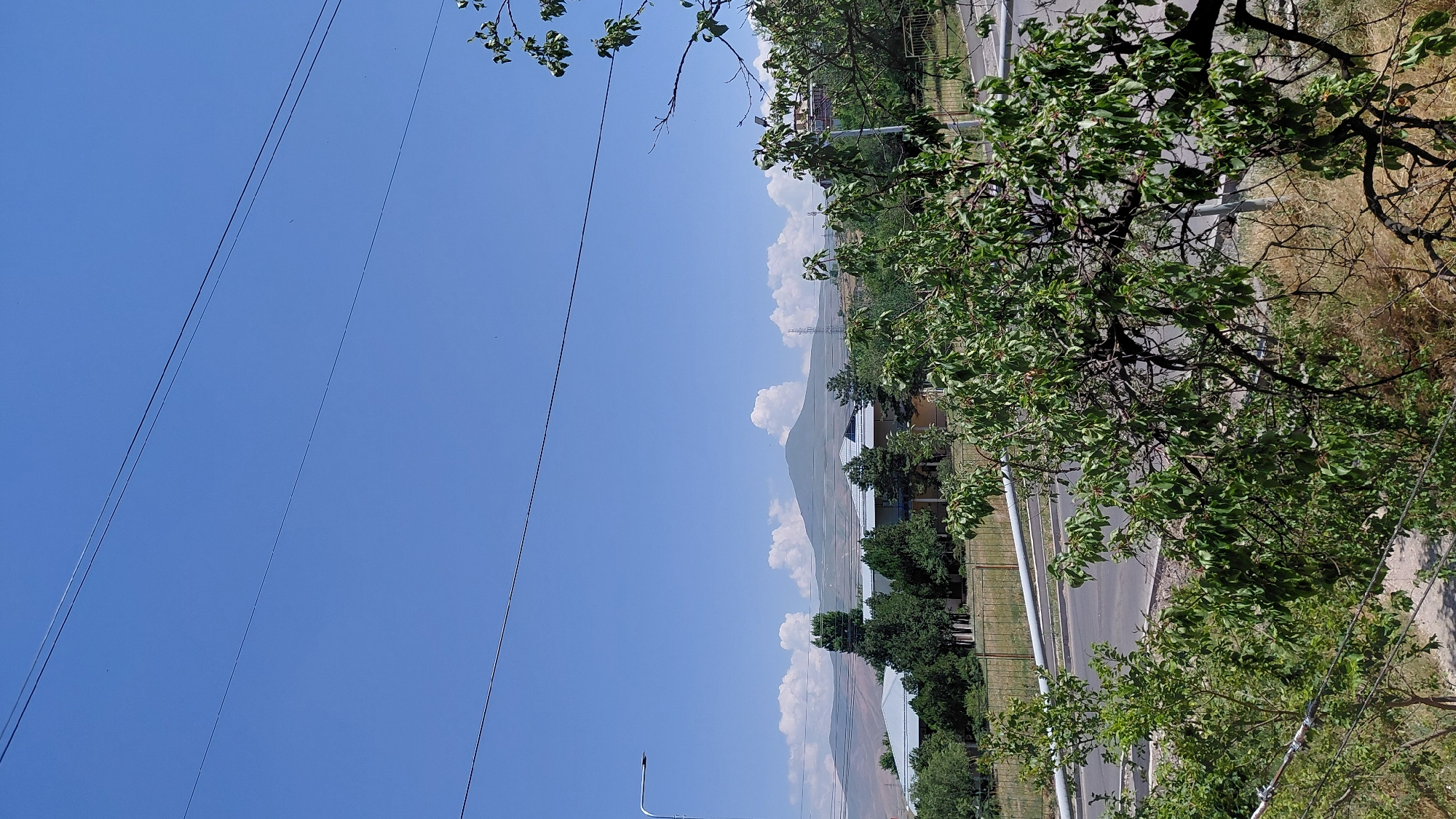 The image captures a daytime view of a city landscape in Abovyan, Armenia. The sky is clear and blue, with a few scattered white clouds. In the foreground, lush green trees and bushes dominate the lower portion of the frame, their branches obscuring parts of the scene. A road runs horizontally across the middle ground, with a white barrier along its edge. Beyond the road, several buildings with light-colored roofs are visible, interspersed with more greenery. In the background, a large, hazy mountain looms under the bright sky. Power lines are strung across the upper portion of the image. The scene appears tranquil, with no people or active events depicted.
