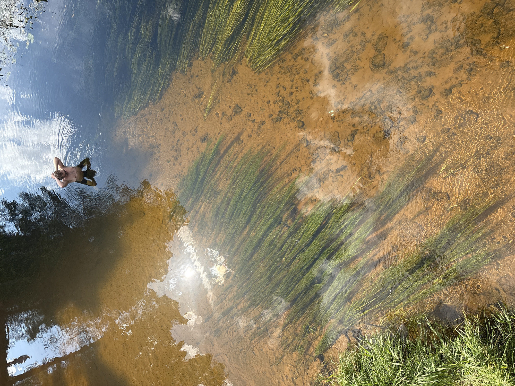 A person is standing in shallow, clear water in a river near the village of Daimishche, Russia. The riverbed is sandy and littered with small rocks. Green aquatic plants are growing in long strands across the riverbed. The water reflects the sky and trees on the bank. The person is facing away from the camera with their hands behind their head.