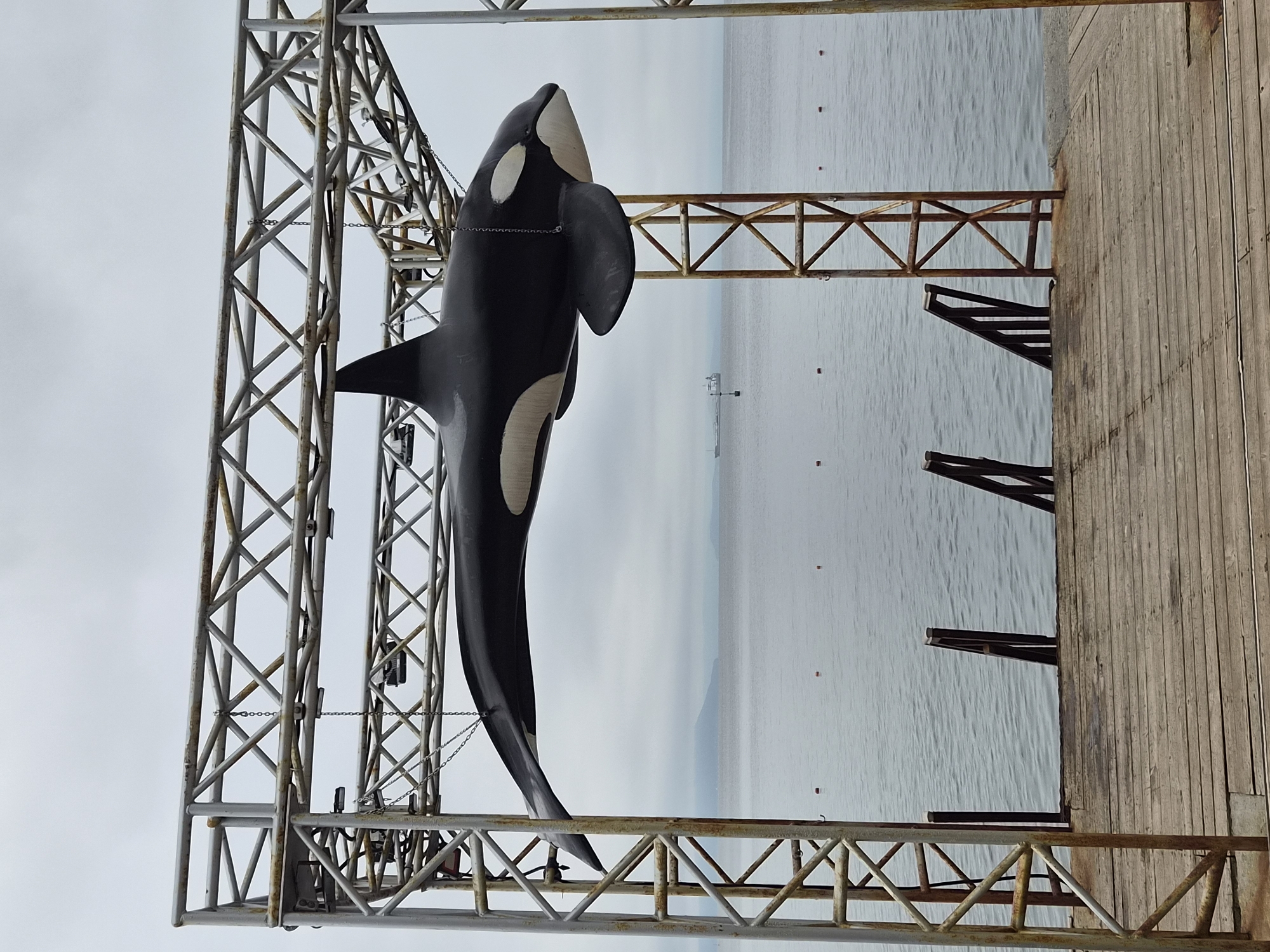 An orca sculpture is suspended by chains from a metal truss structure. The sculpture is black and white, depicting a killer whale in mid-air. The truss structure is made of rusty metal and is positioned over a wooden pier. In the background, the sea is calm under an overcast sky, with a ship visible on the horizon. The scene is likely located along the waterfront in Vladivostok, Russia, given the presence of a harbor and the general aesthetic. There are no people or animals visible in the image.