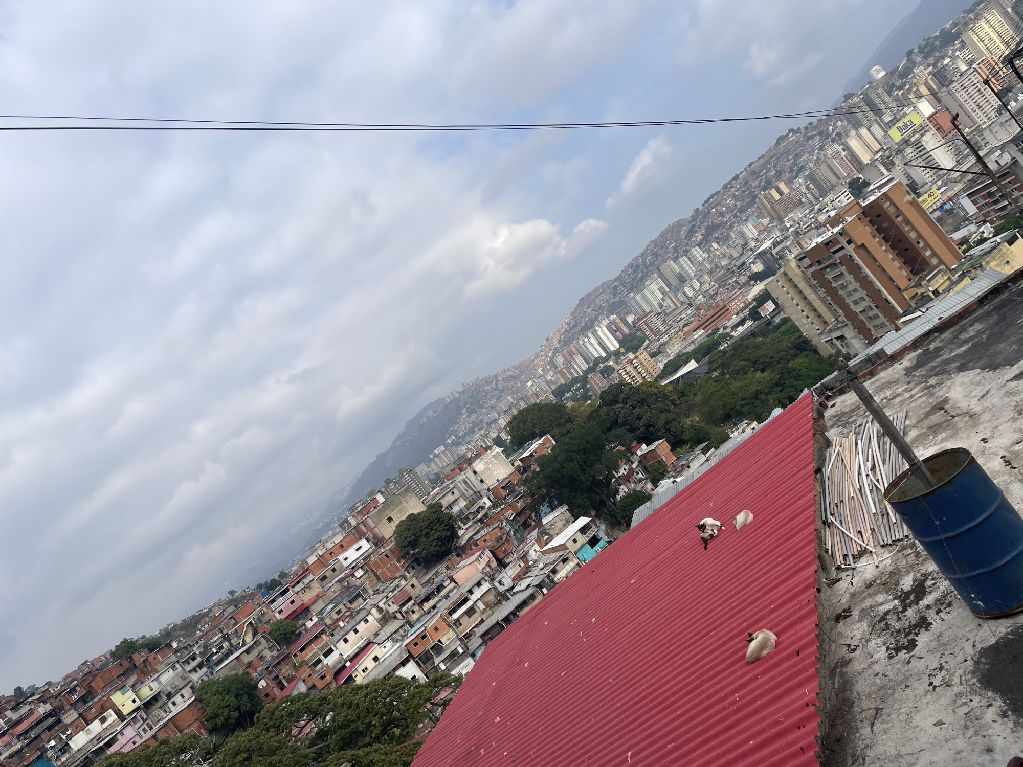The image is a view of the city of Caracas, Venezuela, from a rooftop. The camera is tilted. A cluttered urban landscape stretches across the frame, with densely packed buildings of varying heights. The architecture appears to be a mix of residential and commercial structures, with many buildings showing signs of age or disrepair.
In the foreground, a corrugated red roof dominates part of the view. On the roof are three cats. A blue barrel is seen beside the red roof. A bundle of pipes lays nearby.
Overhead, the sky is overcast with heavy clouds. Two power lines cut across the top portion of the image.