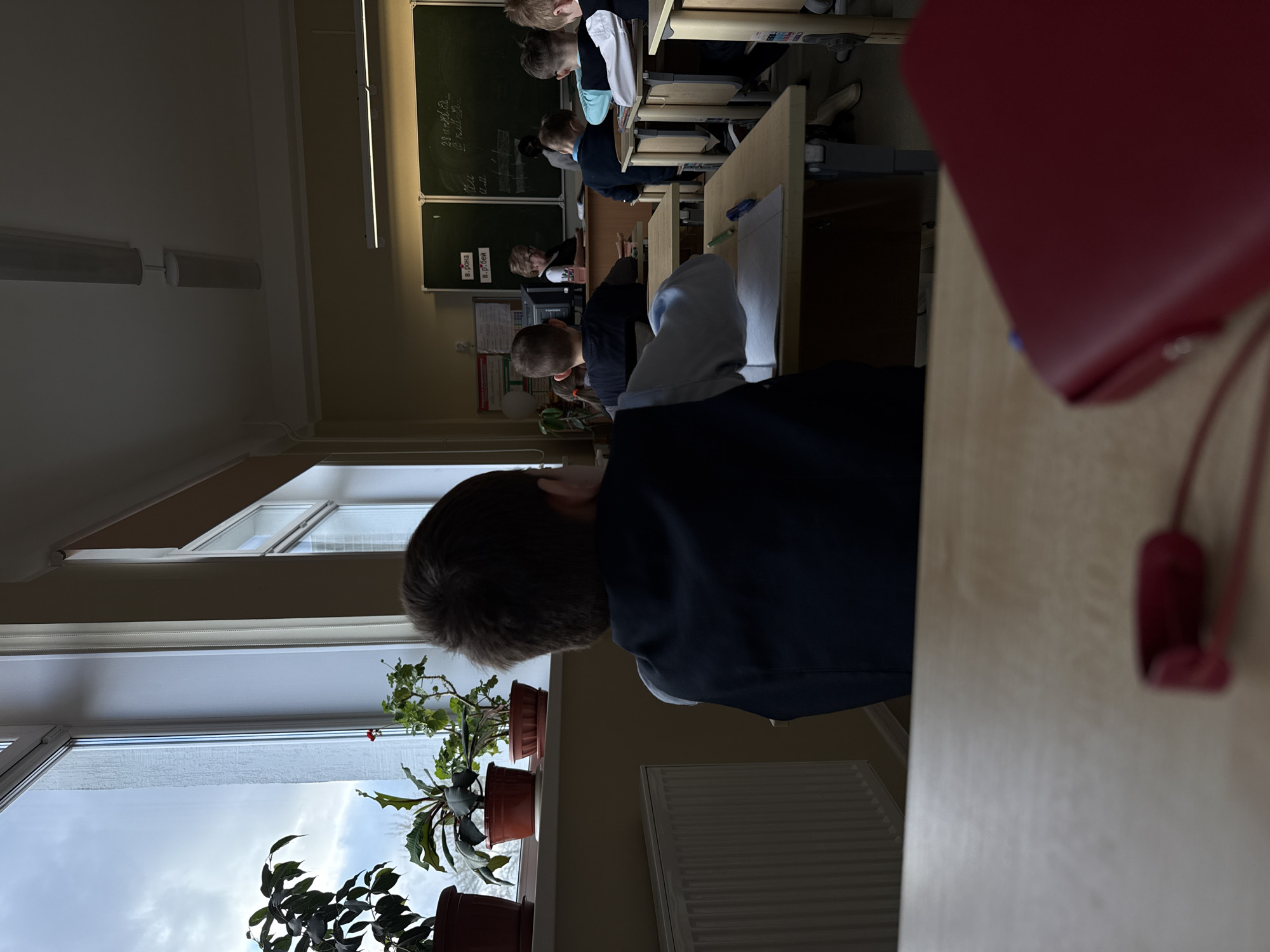 This image captures a classroom scene in Perm, Russia, from the perspective of a student in the back row. The foreground is dominated by the back of a student's head and shoulders, wearing a dark jacket, facing towards the front of the class. To the right, part of a light-colored wooden desk and a blurred red object, possibly a folder or notebook, are visible.
The midground shows several other students seated at individual light-colored wooden desks with adjustable chairs, arranged in rows. They appear to be young, school-aged children, mostly viewed from behind or the side, seemingly engaged in a lesson. One student further back has a computer monitor on their desk.
The classroom receives natural light from a large window on the left side, where several potted plants, including geraniums, are placed on the windowsill. The sky outside is overcast. A white radiator is located beneath the window. The ceiling features fluorescent light fixtures, indicating the classroom is also illuminated artificially.
At the front of the classroom, two green chalkboards display white Cyrillic writing. Notable text includes "28.11.23", indicating the date November 28, 2023. Other visible text includes mathematical equations like "2В + 4К = 82", "2В = 20", "В=10", "К=2", and the words "в.робьи" (sparrows) and "в.белки" (squirrels), likely part of a math word problem or an animal-themed lesson. The scene depicts a typical school day with students studying.