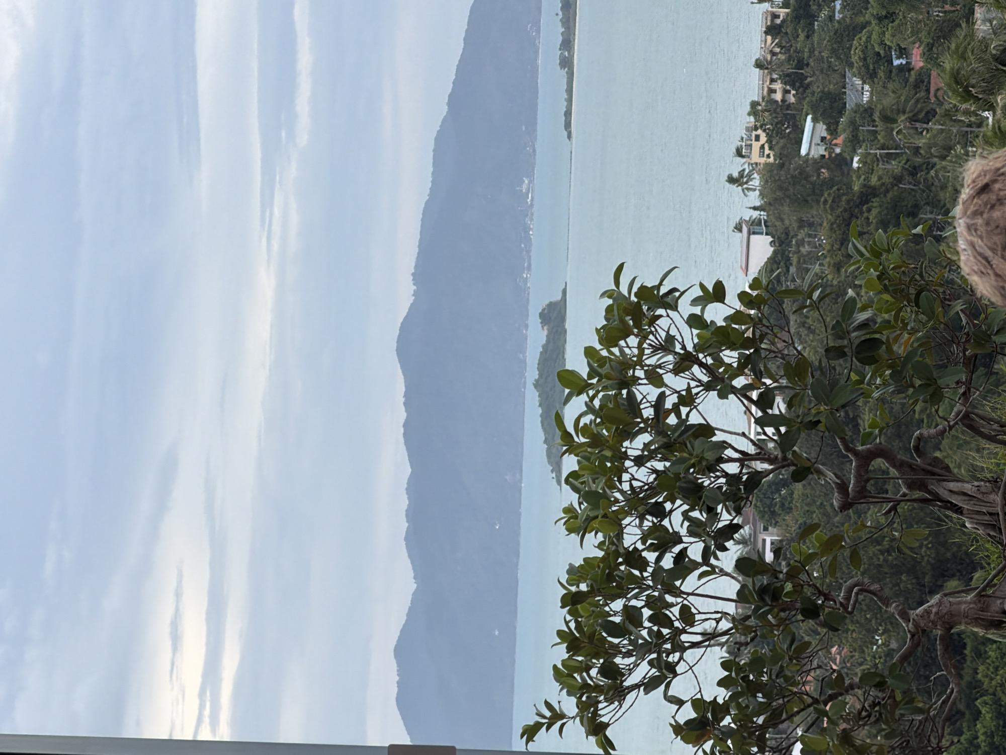 A slightly overcast, low-angle, full outdoor shot shows a lush green tree with gnarled roots in the foreground. Beyond the tree, there is a wide expanse of pale blue water, and in the distance, a range of hazy, blue-green mountains. The water appears to be a bay or a strait, with a few small islands dotted within it. Scattered along the shoreline and on the hillsides are various buildings, including houses and what appear to be resort-style structures, with palm trees interspersed amongst them. The scene is likely from an elevated vantage point in Ko Samui District, Thailand, possibly overlooking a coastal town or residential area.