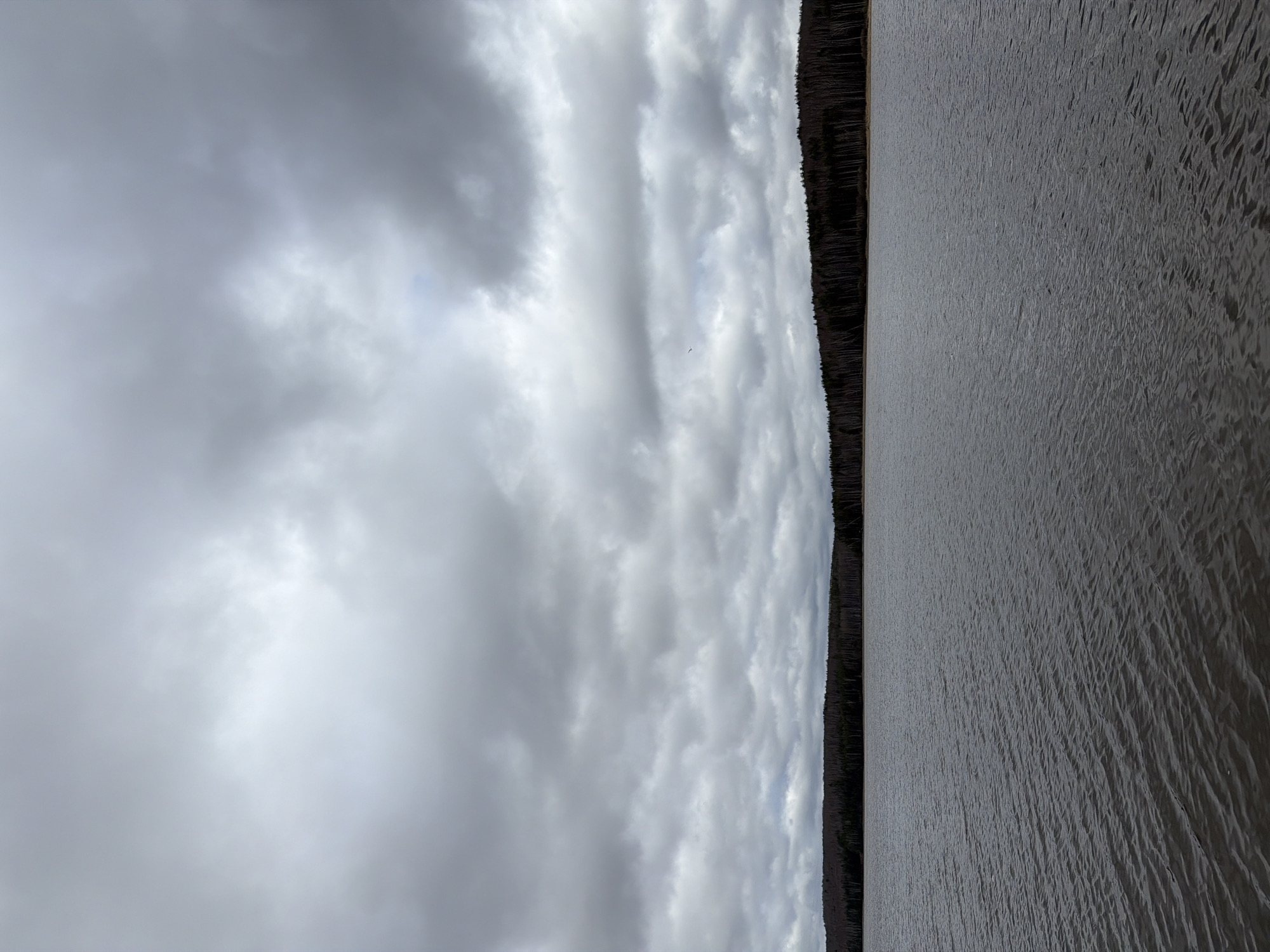 The image depicts a body of water, possibly a lake or river, under a cloudy sky. A line of trees borders the water. The water surface shows ripples, suggesting a slight breeze. The sky is filled with various cloud formations, predominantly gray, indicating overcast conditions. The general tone is somber due to the lighting and weather. The location in the city of Chaikovsky, Russia, is not determinable from the visual information provided.
