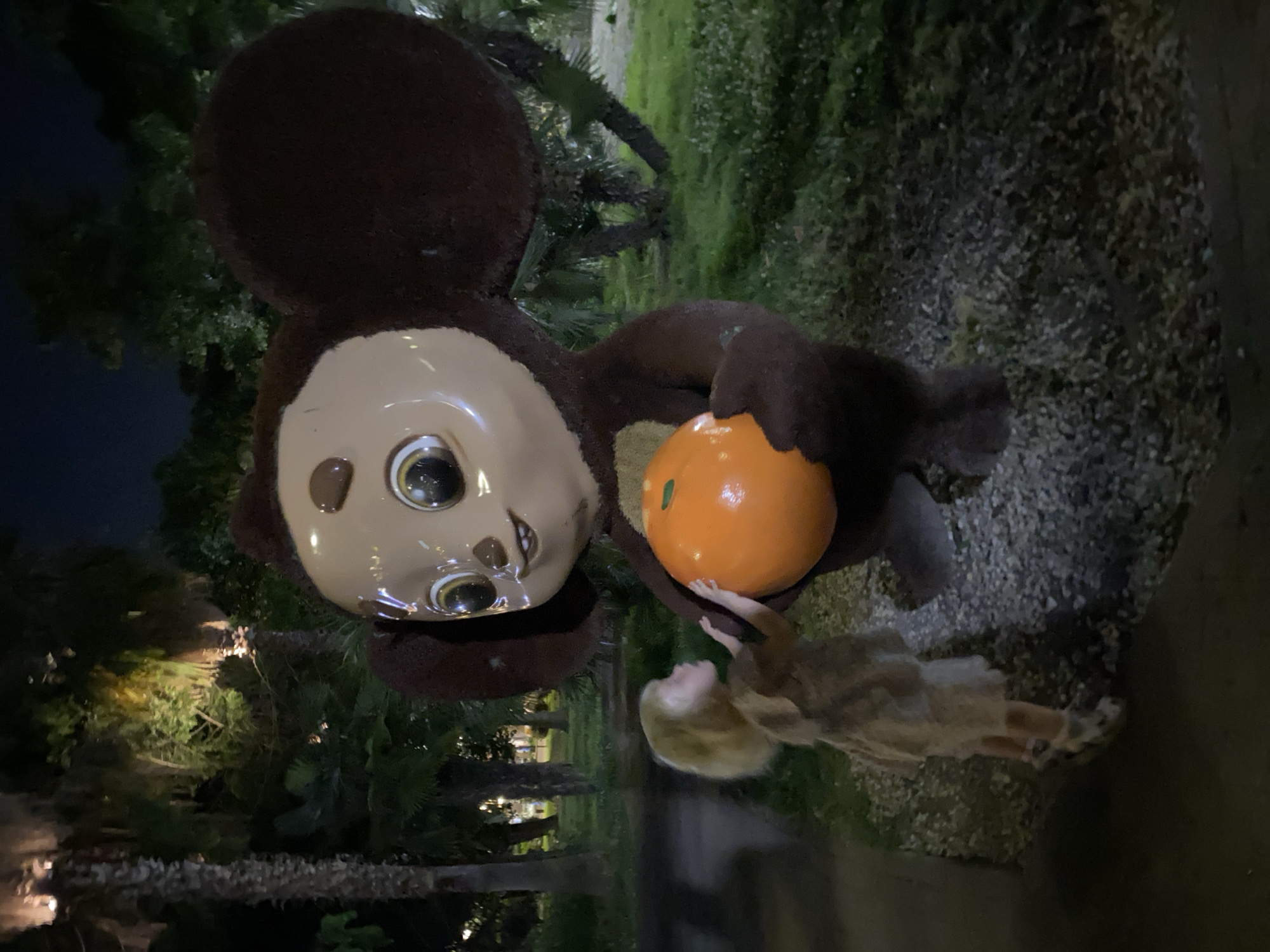 Memory