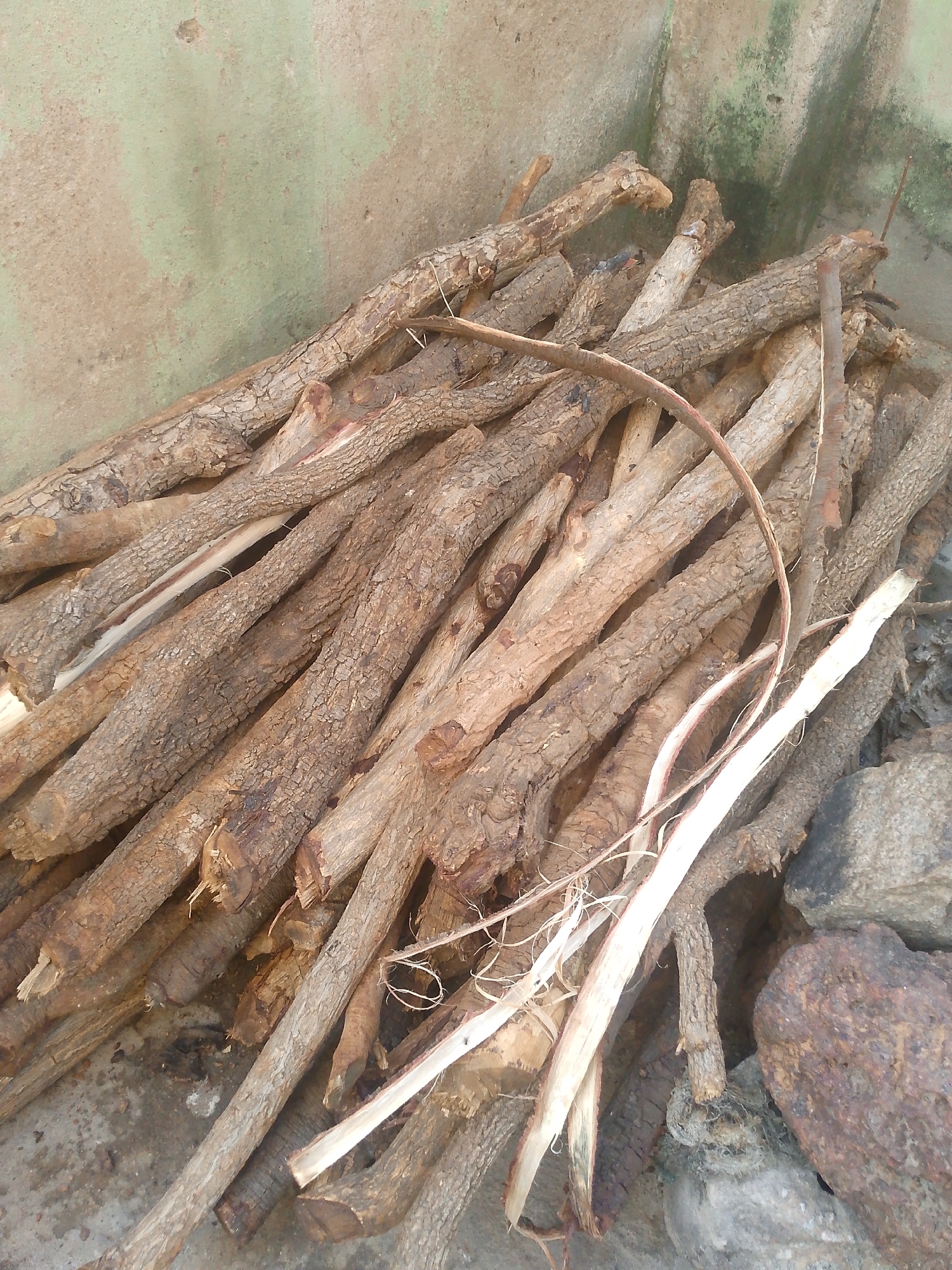 The image shows a pile of cut, dry branches and logs of wood stacked against a textured, light green and beige wall. The wood is varied in thickness and has rough bark. Some pieces are split, revealing lighter wood underneath. The ground beneath the wood appears to be concrete or dirt, with some scattered stones. The overall scene suggests a storage area for firewood or raw materials, likely in an outdoor setting. The location is Jalingo, Nigeria.