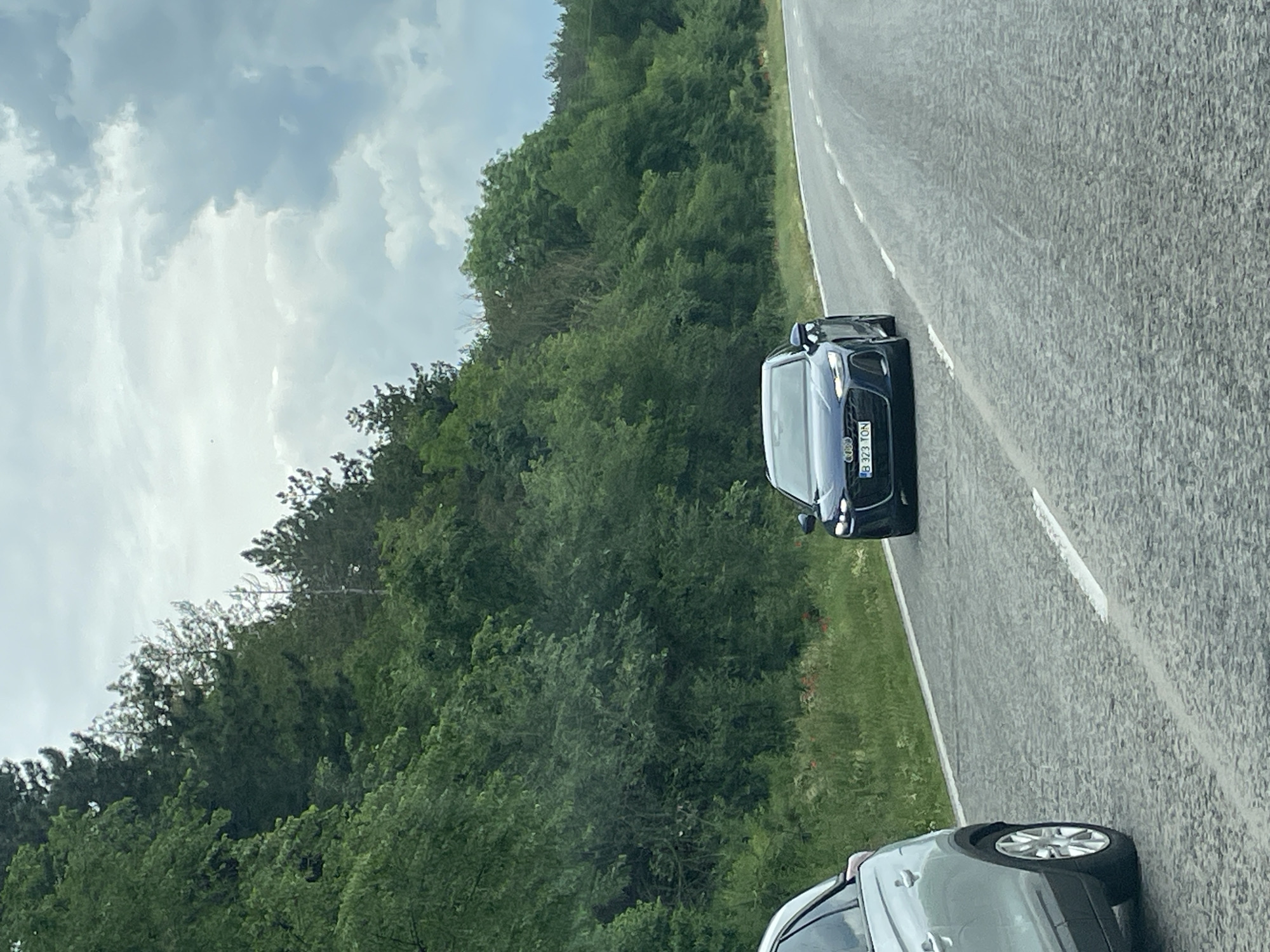 The image depicts a rural roadside scene. In the foreground, two cars are visible: a silver/grey car partially in view at the bottom and a dark-colored car (likely blue or black) further up the road. The dark car has a license plate, "B 323 TON". The road is asphalt with a white line marking the edge. Adjacent to the road is a grassy verge, followed by a dense forest. The sky is overcast with grey clouds. The photograph was taken near Kamenar, Bulgaria, as indicated by the car's license plate.