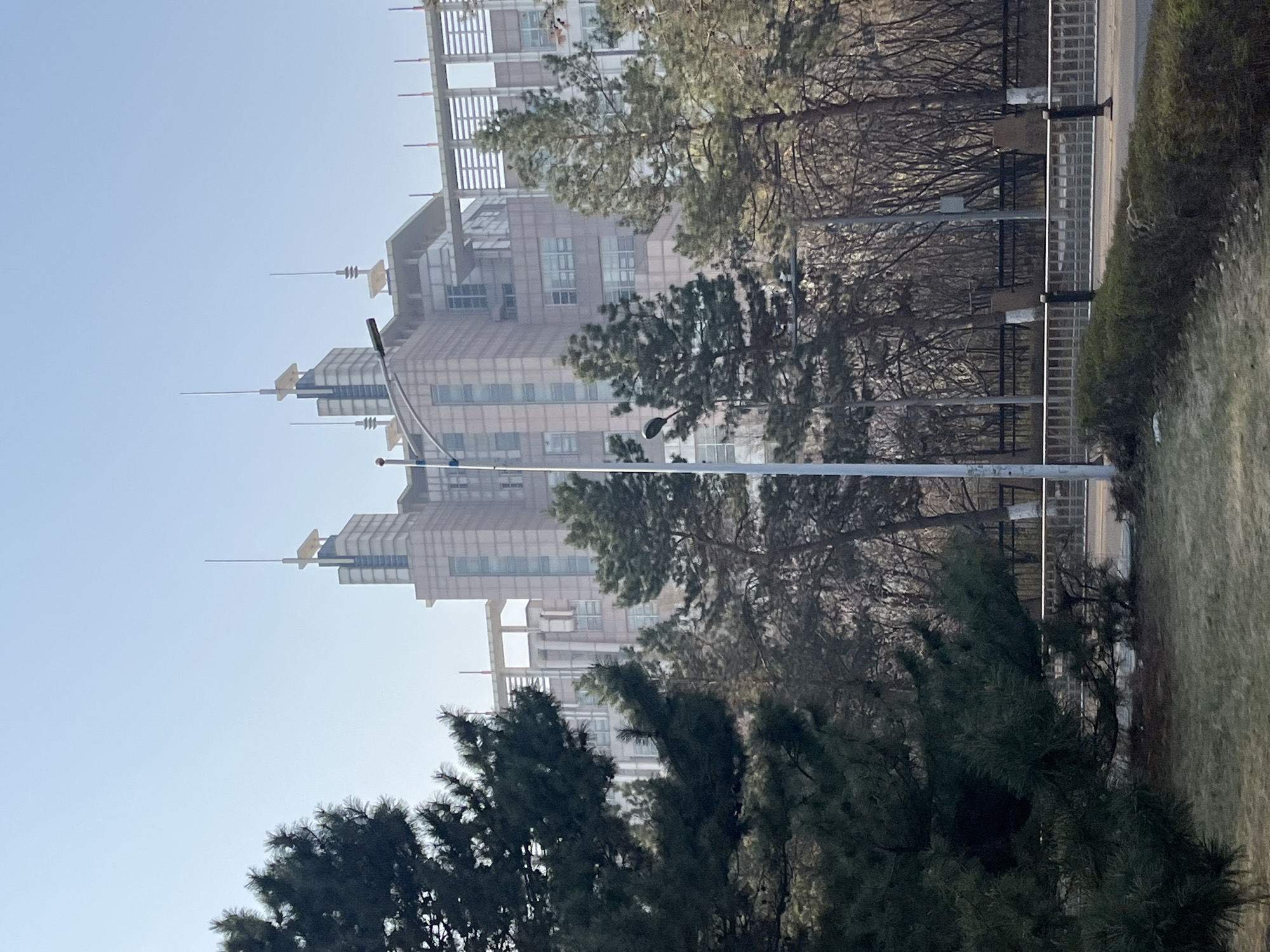 The image, taken in Changchun City, China, depicts an urban landscape under a clear, bright blue sky during the daytime. Several modern, multi-story buildings with light-colored facades and numerous windows dominate the left side of the frame. Some of these structures feature distinctive spires or antennas on their rooftops, and one building exhibits horizontal slatted architectural details on its upper levels.
A mix of evergreen trees with dense, dark green foliage and bare deciduous trees, suggesting a cooler season like late autumn, winter, or early spring, are prominently featured throughout the mid-ground, partially obscuring the buildings. Towards the center-right, a tall, slender streetlight with a curved arm and lamp is visible. A metal fence, possibly chain-link or a similar grid pattern, runs horizontally across the mid-ground, indicating the edge of a road or pathway. On the far right, a patch of dry or sparse grass covers the ground.
The scene appears still, with no people or specific activities visible. The clear sky and dry vegetation suggest fair weather. There is no visible text in the image.