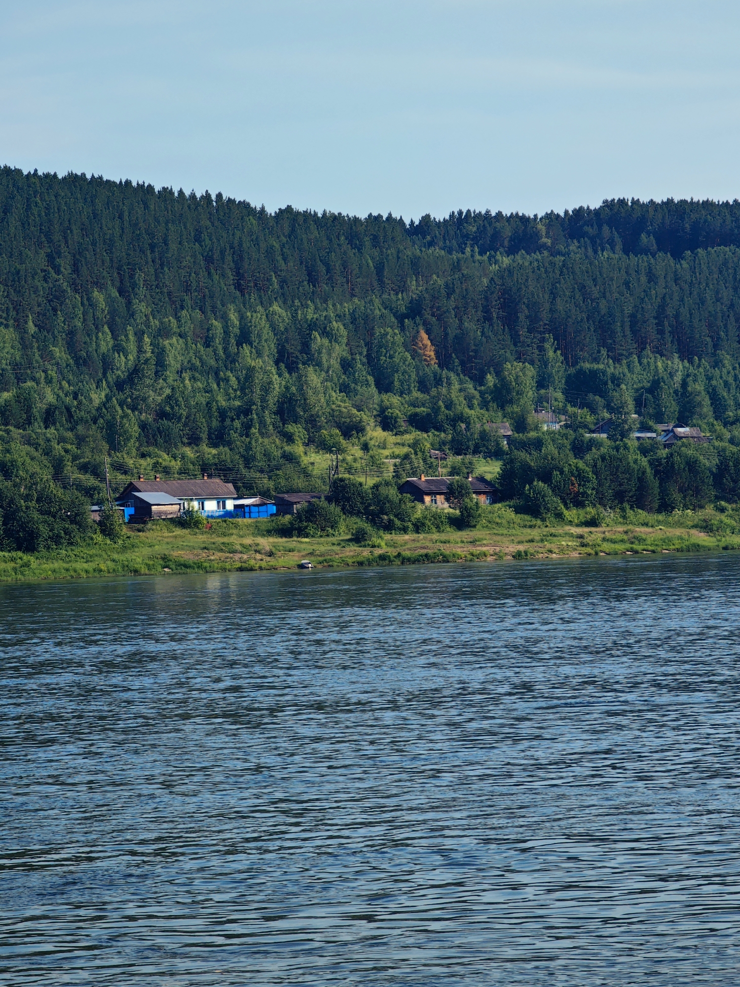 A vertical, eye-level, medium shot captures a wide river in the foreground, with rippling, dark blue water reflecting a clear, pale blue sky. The riverbank on the far side is lined with a dense, green forest that ascends a hill. Several small, wooden houses with dark roofs are scattered along the riverbank, nestled amongst the trees and greenery. One house, painted white with blue trim, stands out. The scene appears to be set in the city of Predivinsk, Russia, given the typical landscape of a river running through a forested area with rural settlements. The overall impression is one of a serene, natural landscape with a touch of human habitation.