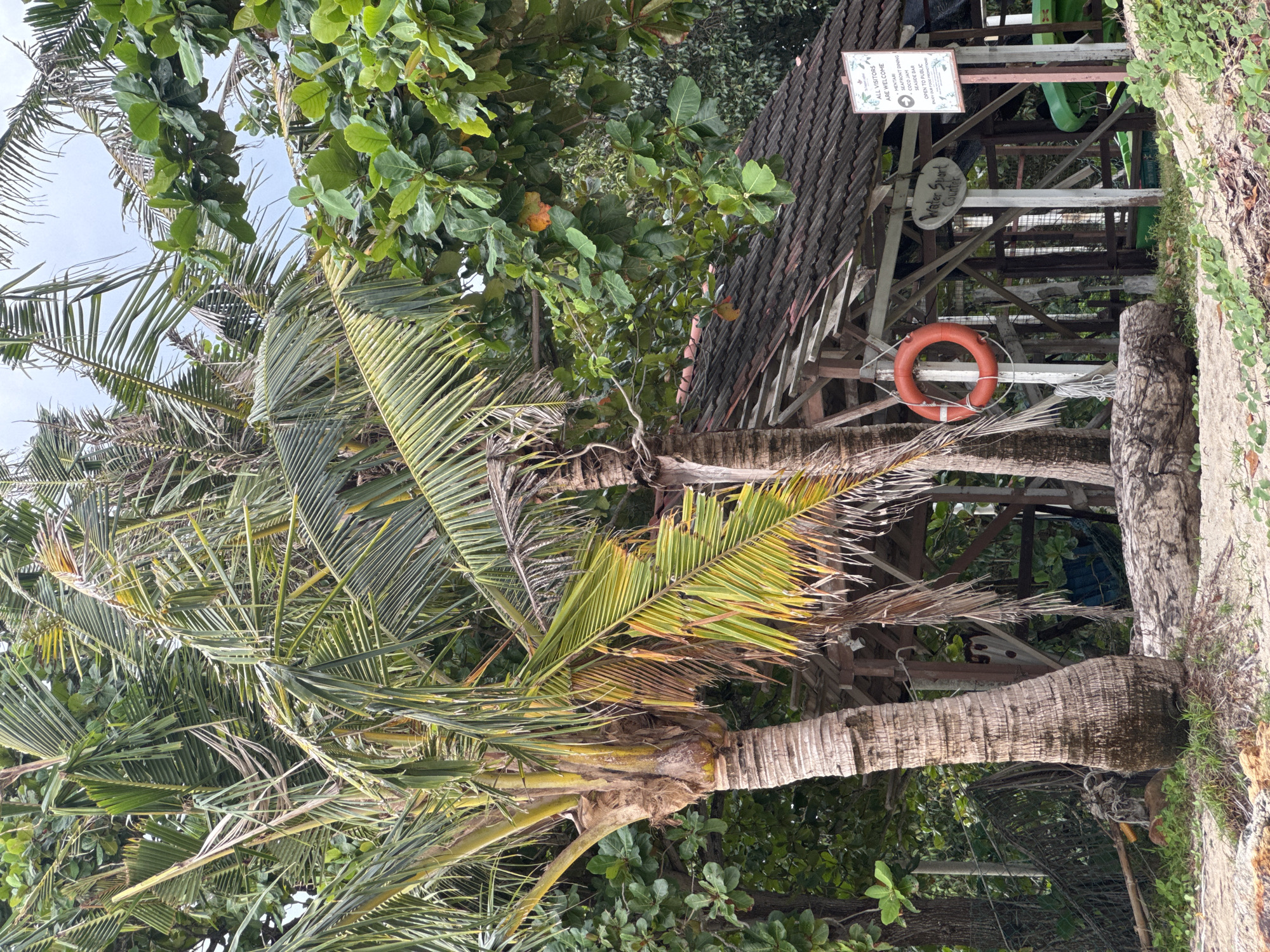 The image depicts a weathered, open-air structure with a tile roof situated on a sandy beach, likely on Tengah Island, Malaysia. Palm trees and lush green foliage surround the structure, creating a tropical ambiance. In front of the structure, a prominent orange life preserver hangs from a support post. To the right of the life preserver, a sign reads "Water Sport Counter" and another sign below that states "ALL VISITORS ARE WELCOME" with further text that is partially obscured. The structure itself appears to be constructed from wood and shows signs of age and exposure to the elements. In the background, more vegetation and possibly a fence can be seen. The ground is covered in sand and some low-lying green plants. The overall scene suggests a casual, beachside facility associated with water sports.