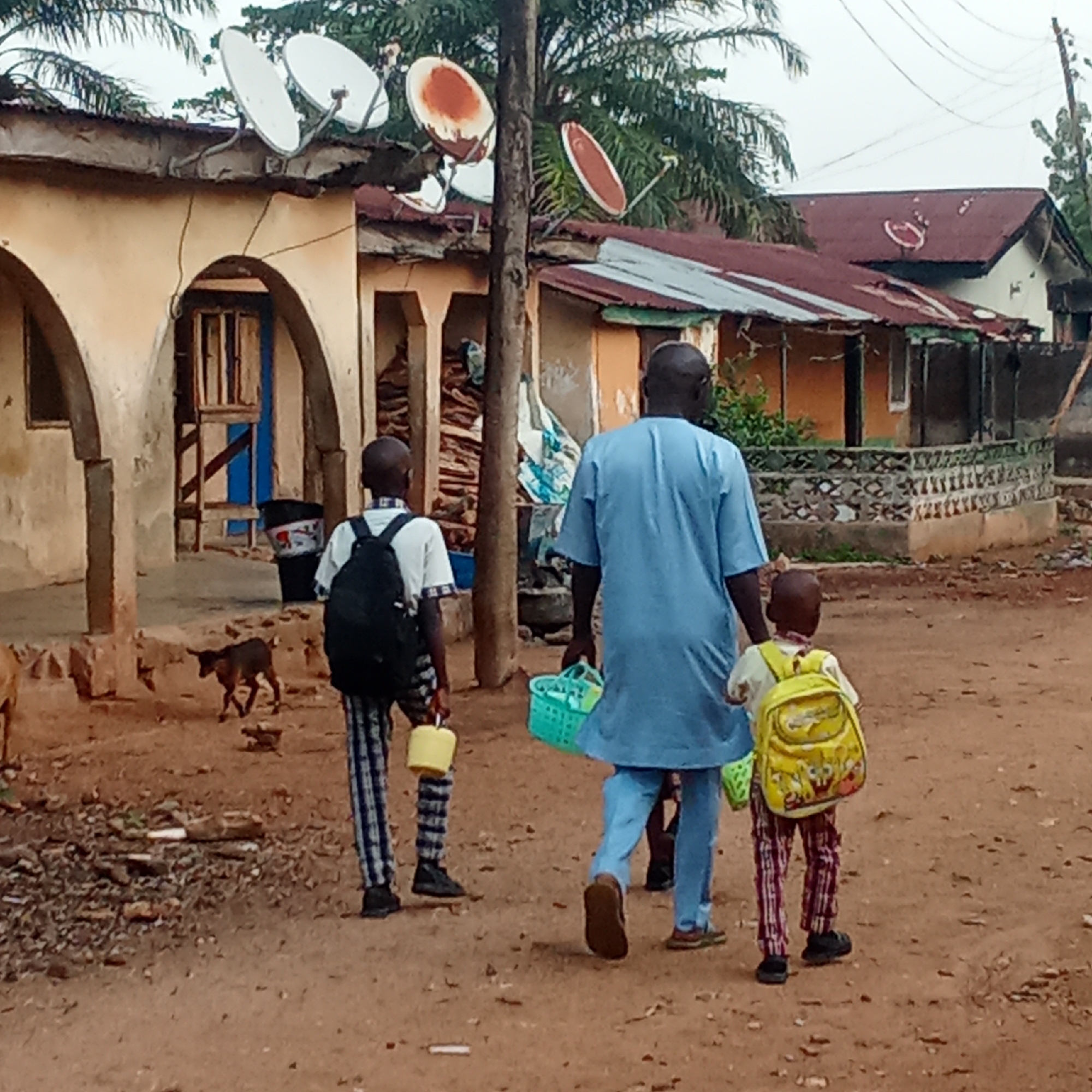 A wide-angle image captures a scene in Akwanga, Nigeria, showing three individuals walking away from the camera on a reddish-brown dirt path. The group consists of an adult male and two children. The adult, dressed in a light blue, loose-fitting garment and light blue trousers, walks in the middle, carrying a light blue plastic basket in his left hand.
To his left, a taller child wears a white short-sleeved shirt, a black backpack, and striped blue and white trousers, carrying a yellow plastic can or small bucket. To the adult's right, a smaller child wears a light-colored shirt, red and white plaid trousers, and a yellow backpack featuring a Spongebob Squarepants design.
The background shows various structures typical of a rural or semi-urban environment. On the left, a light-colored building features prominent archways and a rustic wooden door. Its roof, made of corrugated metal, hosts several satellite dishes, some white and some visibly rusted. A small, dark-colored animal, possibly a goat or a thin dog, walks near this building. Further back, other houses with rusty corrugated metal roofs and patterned concrete fences are visible. The sky is overcast and cloudy, suggesting a diffused light, possibly morning or late afternoon. Numerous palm trees are interspersed throughout the landscape, and utility wires are visible against the sky. The ground is unpaved, uneven, and strewn with some debris.