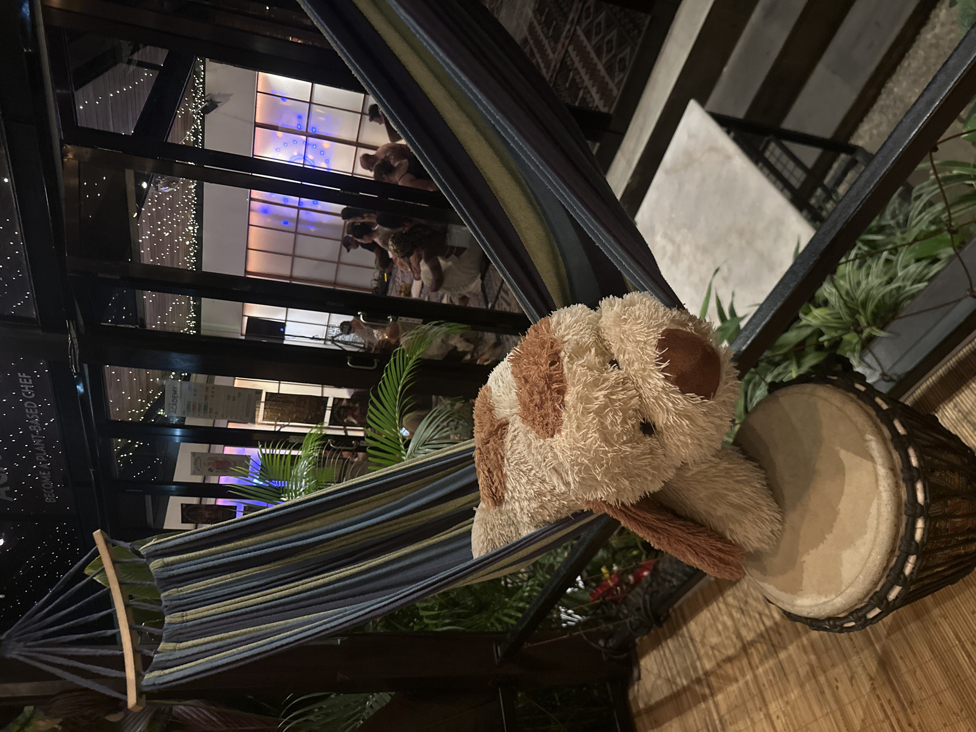 A plush toy dog is resting in a striped hammock at night. The hammock is made of dark blue, green, and yellow stripes and is strung between wooden supports. Next to the hammock is a djembe drum with a tan drumhead and a dark, woven body. In the background, through large windows, a dimly lit interior space is visible with tables and chairs. Several people can be seen inside. String lights are draped across the interior, creating a festive atmosphere. The scene appears to be outdoors, possibly on a balcony or patio. The overall mood is relaxed and cozy. There is no visible text in the image.