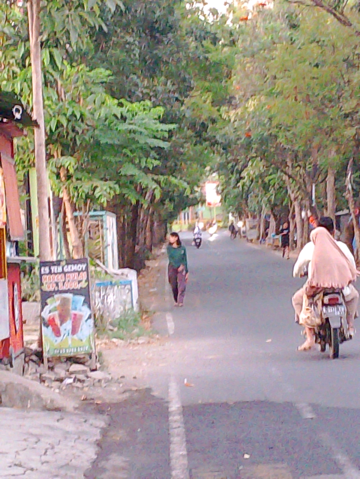The image depicts a street scene in Probolinggo, Indonesia, likely during the late afternoon or early evening, given the warm lighting and long shadows. The street is lined with trees providing shade, and there are buildings or stalls on the left side.
In the foreground on the left, a sign is visible, advertising "Es Teh Gemoy Harga Murah Rp. 5.000" which translates to "Cute Iced Tea Cheap Price Rp. 5,000". The sign features an illustration of three glasses of iced drinks. Next to the sign, there is a pole and a red and white structure.
Further down the street, a woman in a green top and dark pants is walking on the side of the road. On the right side of the street, a man is riding a motorcycle with a woman on the back. The woman on the back is wearing a light pink hijab and a light-colored outfit. The motorcycle has a license plate that is partially visible.
Several other figures and objects are present in the background, including other pedestrians, parked motorcycles, and more trees and foliage lining the road, creating a leafy canopy. The road surface is asphalt, and there is a pedestrian walkway on the right side. The overall impression is of a typical street scene in a Southeast Asian city, with daily life unfolding.