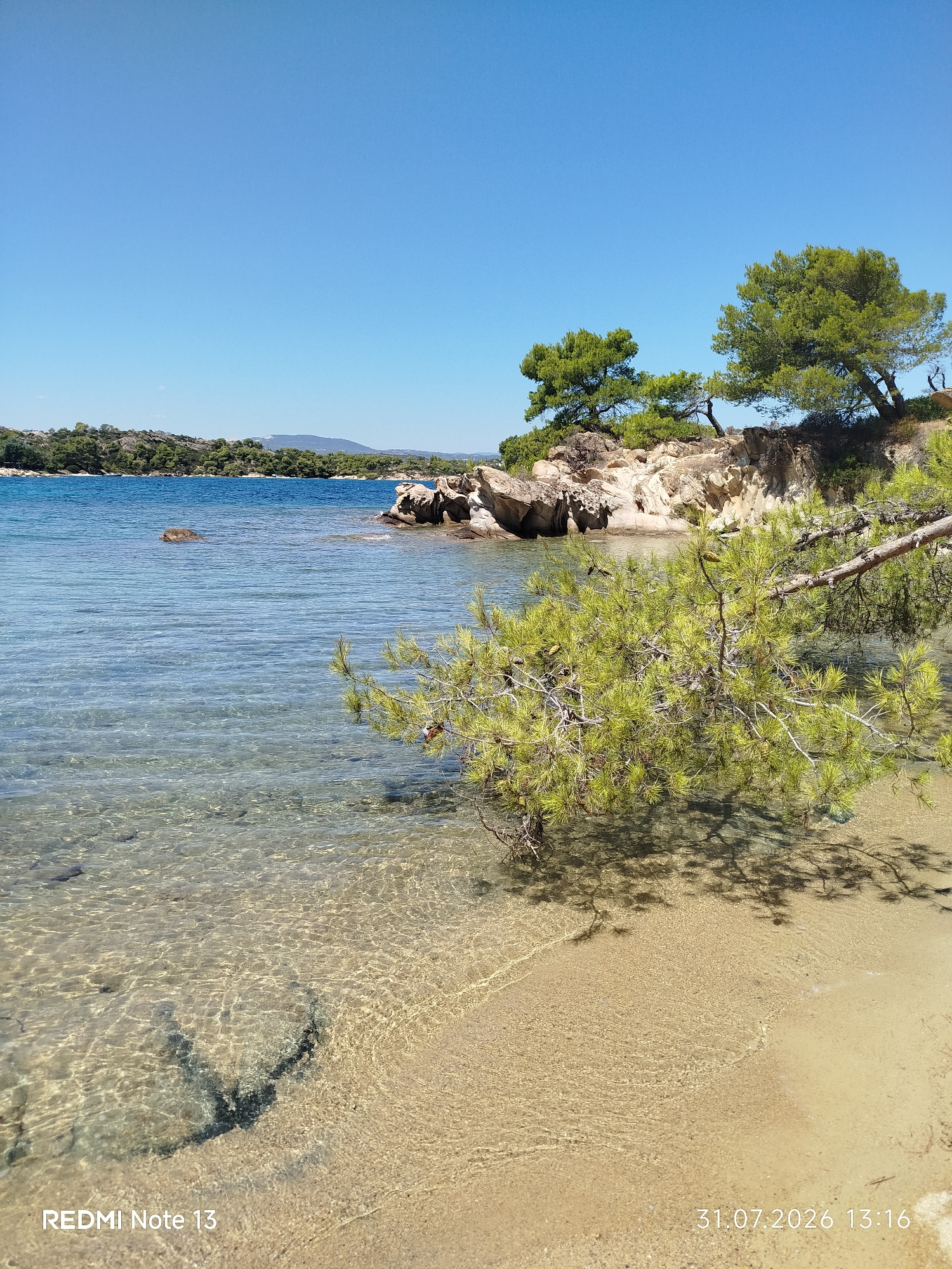 The image depicts a tranquil coastal scene in Sithonia Municipal Unit, Greece. The foreground is dominated by a sandy beach with clear, shallow water lapping at its edge. Submerged rocks are visible beneath the surface of the water, which exhibits ripples and reflections of sunlight. A branch of a pine tree, laden with needles and small cones, extends into the frame from the right, casting a shadow on the sand and water.
In the middle ground, a rocky outcrop juts into the sea, topped with more pine trees. The water is a deep blue, with a gentle horizon line. The background reveals a lush, green coastline with hills covered in vegetation. The sky is a clear, bright blue, suggesting a sunny day. The timestamp "31.07.2026 13:16" and the text "REDMI Note 13" are superimposed on the lower portion of the image, indicating the date, time, and device used to capture the photograph. There are no people or animals present in the image.
