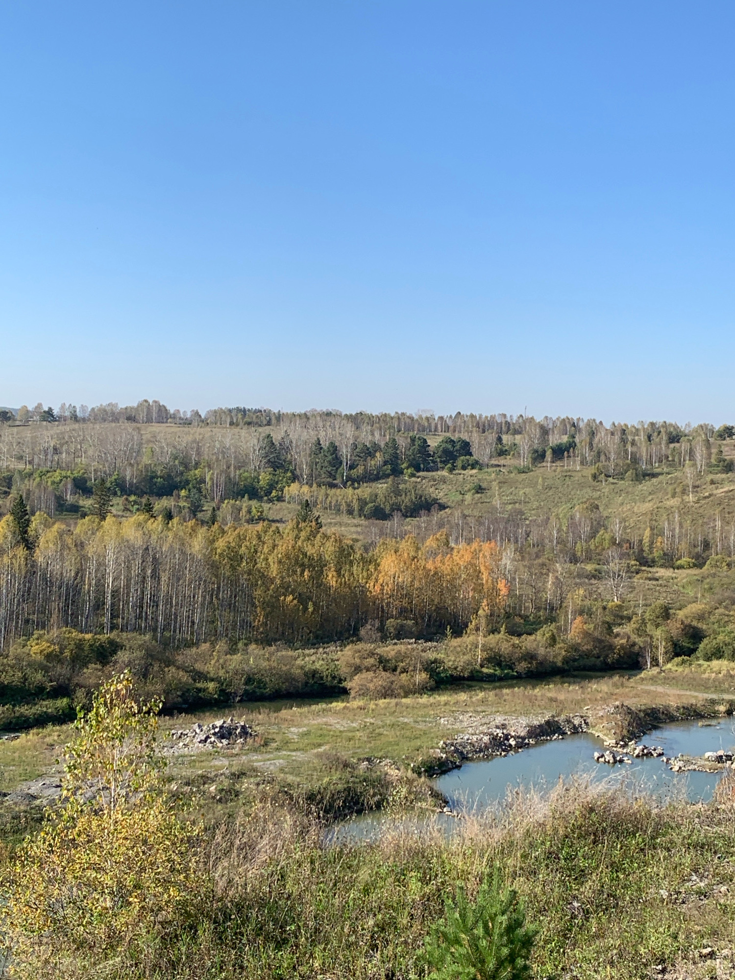The image displays a wide, panoramic view of a rural landscape under a clear blue sky. In the foreground, a grassy area with a small pine sapling leads to a body of water with scattered rocks, likely a pond or small quarry. Beyond the water, the terrain rises into a series of rolling hills densely covered with trees. The trees exhibit autumn foliage, with a mix of green, yellow, and brown leaves, creating a vibrant mosaic. A notable section of the hillside features a dense cluster of birch trees with white bark, interspersed with evergreens. The background is dominated by a further expanse of trees and rolling hills, with a faint treeline stretching across the horizon under the expansive sky. The overall impression is one of natural, undeveloped beauty in a temperate climate during the fall season. The location is identified as Новостройка, Russia.