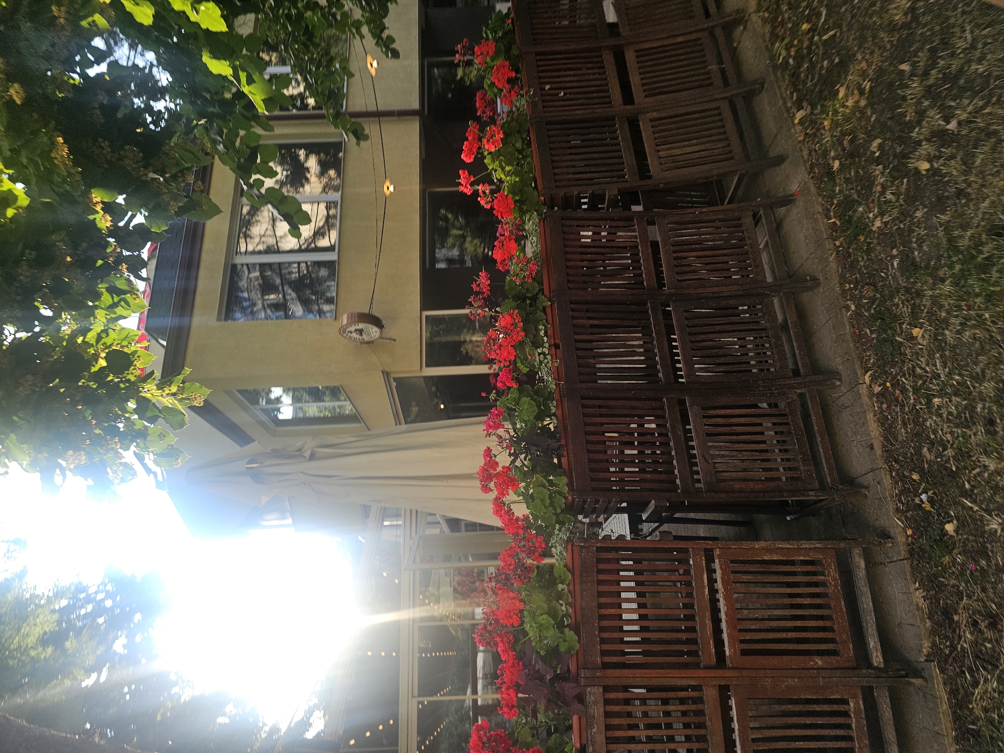 The image depicts an outdoor seating area of a restaurant or cafe, likely during daytime given the strong sunlight. The scene is viewed from an angle, with the camera tilted, giving a dynamic perspective. In the foreground and to the right, stacks of wooden chairs with slatted backs are neatly arranged. Adjacent to these chairs, a planter box overflows with vibrant red geraniums, adding a splash of color to the scene.
Behind the seating area, a building with a pale yellow facade is visible. Large windows reflect the surrounding trees and sky. An awning extends from the building, partially obscuring the view into the interior. Overhead, greenery from trees drapes into the frame from the left, with sunlight filtering through the leaves, creating lens flare effects. Small, warm-toned lights are strung along wires above the seating area, suggesting it might be used into the evening. The ground to the far right appears to be a grassy area with fallen leaves.
The overall atmosphere is relaxed and inviting, suggesting a pleasant day for outdoor dining. There is no discernible text in the image.