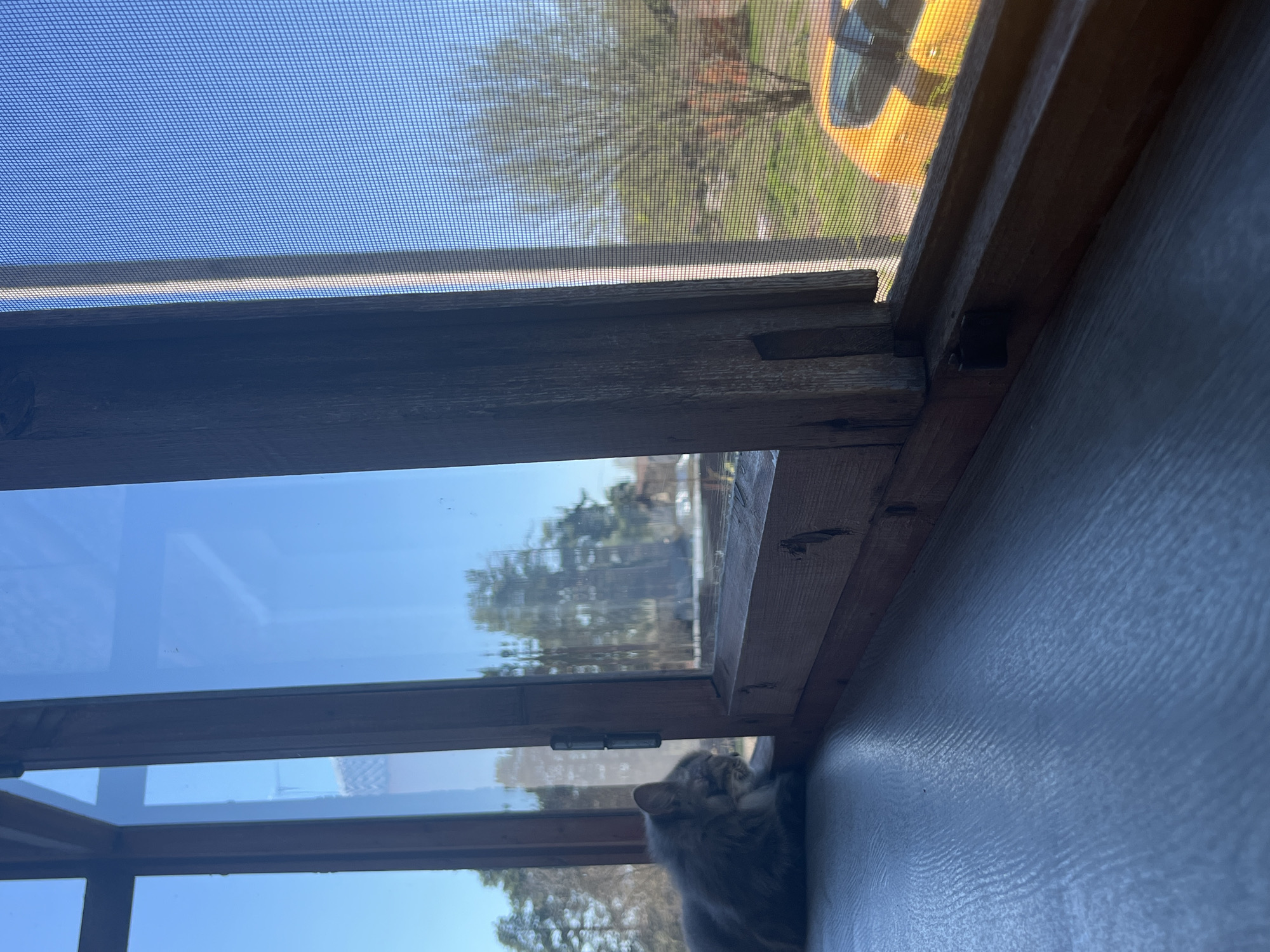 A low-angle indoor shot shows a wooden window frame with a screen on the upper portion. The screen shows a blurry view of trees and a yellow vehicle outside. Below the screened portion is a glass window showing trees and a blue sky. Part of a gray cat is visible in the lower right corner, resting against the wall beneath the window. The interior wall is a light bluish-gray with a textured surface. The location cannot be confirmed in the city of Раздолье, Russia, based on the given image.