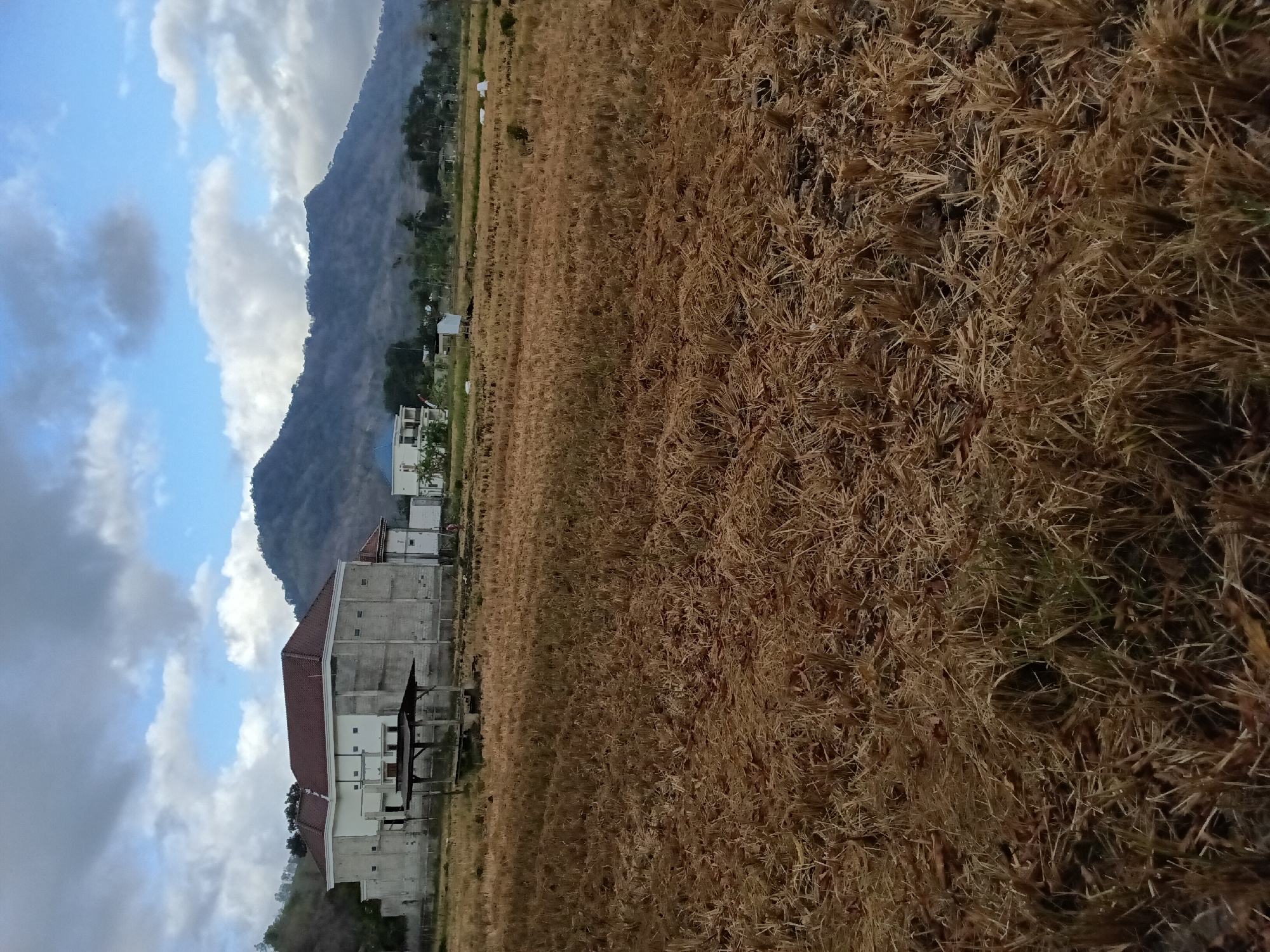 This is a vertical, medium-shot, outdoor photograph taken in Bendorejo, Indonesia. The foreground is dominated by a field of dry, cut rice stalks, presenting a texture of golden-brown stubble. In the middle ground, a large, multi-story building with a red tiled roof and a concrete exterior is visible. To the left of this building, a simple, open-sided shelter with a dark roof sits in the field. Further back, beyond the main building, other smaller structures and trees dot the landscape. The background features a large, rolling mountain range under a partially cloudy sky with patches of blue. The overall scene depicts a rural landscape following a harvest.