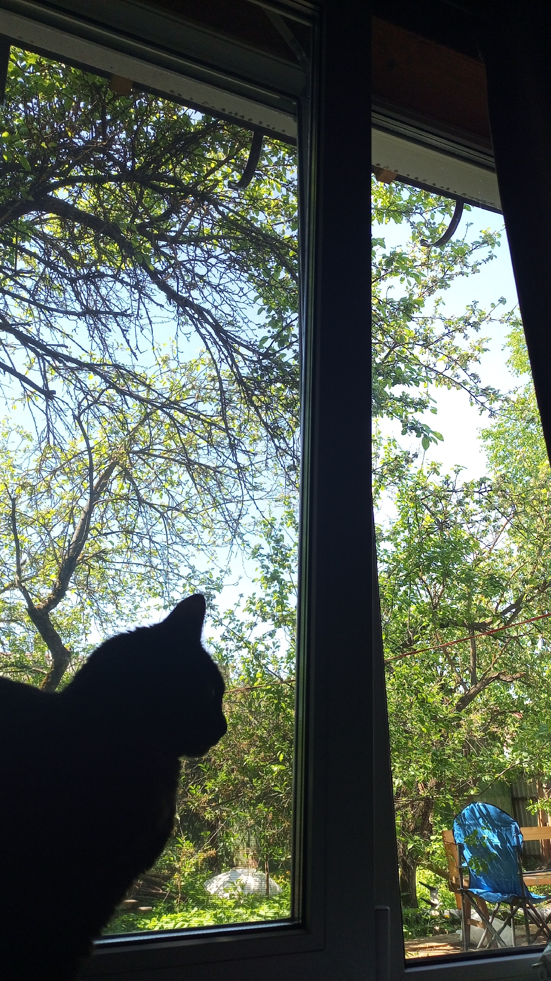 A silhouette of a cat's head and upper body is positioned in front of a double-paned window. Outside, trees with green leaves are visible under a blue sky. In the right pane, a blue chair and a wooden bench can be seen in a yard. The location is Юдино, Russia.