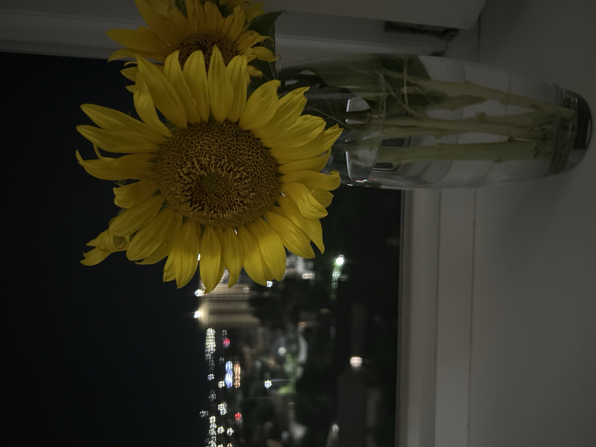 A close-up, low-angle shot captures two sunflowers in a clear glass vase filled with water, placed on a white windowsill. The sunflowers, with bright yellow petals and dark brown centers, are the primary focus, positioned on the right side of the frame. In the background, a blurry cityscape is visible through a window at night, featuring bokeh lights and indistinct buildings. The overall scene is dimly lit, with the window frame and a portion of a white wall visible on the right edge of the image. The location is identified as Kokshetau, Kazakhstan. There are no people present in the image.