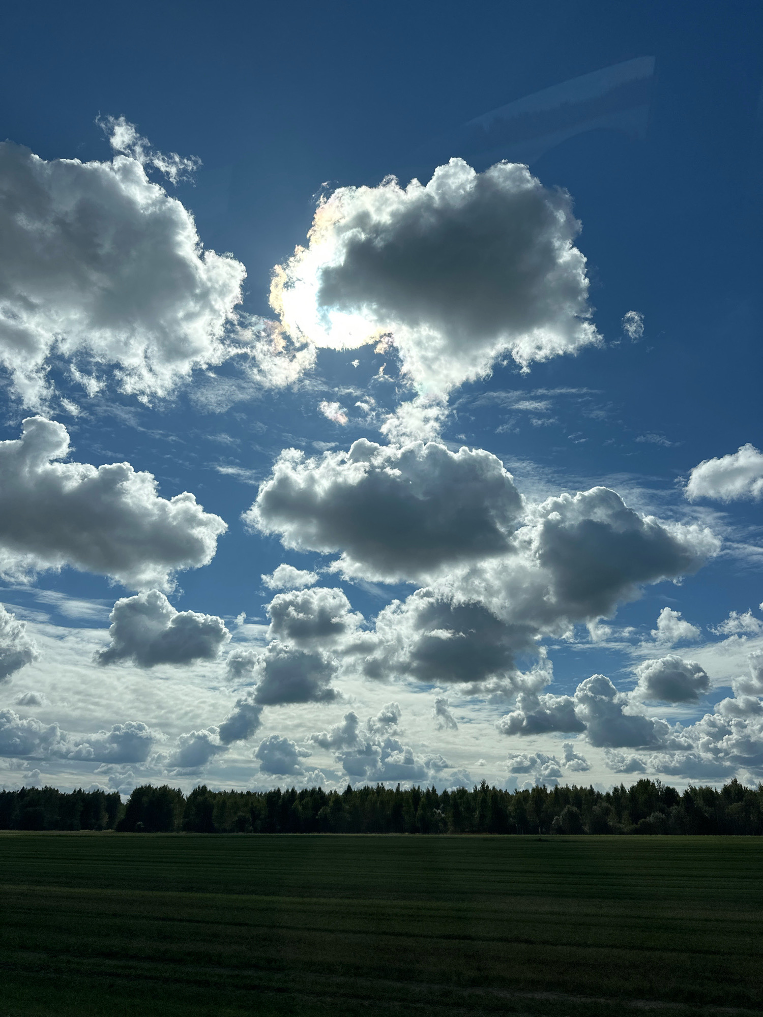 This is a vertical, eye-level shot of a rural landscape under a partly cloudy sky. The sky is a vibrant blue with numerous white and gray cumulus clouds scattered throughout. In the upper left portion of the sky, the sun is partially obscured by a large, bright cloud, creating a halo effect and casting light onto other clouds. There is a faint, horizontal reflection visible in the upper right corner, possibly from a window. Below the sky is a dark green treeline composed of coniferous and deciduous trees, stretching across the frame. In front of the trees is a field of dark green crops, with visible rows, suggesting cultivation. The overall scene is natural and tranquil, depicting a rural setting in what appears to be Belarus, specifically the Дукорскі сельскі Савет. There are no people or animals visible in the image.