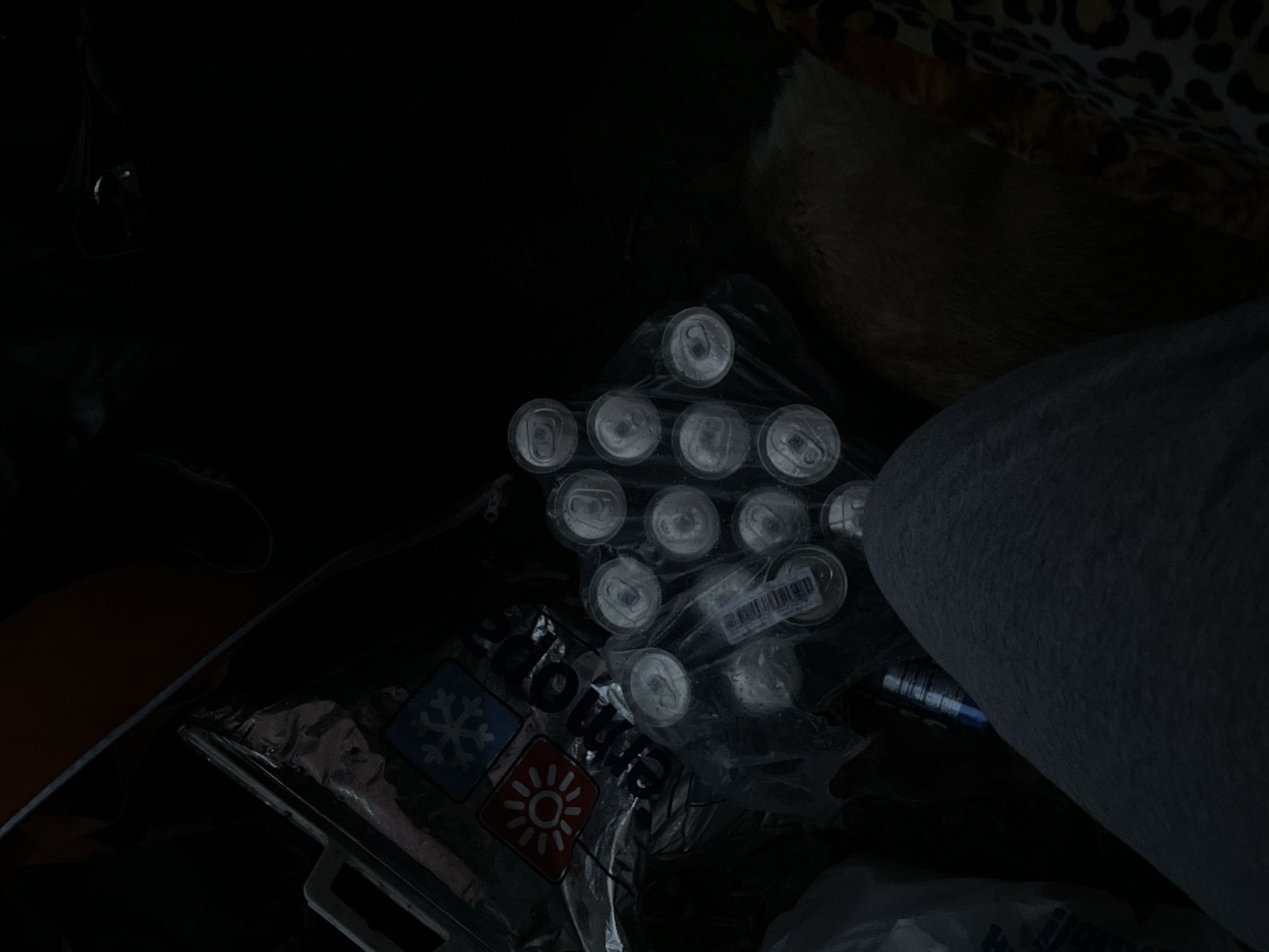The image depicts a dimly lit, confined interior space, likely a vehicle cabin. A human leg, clad in grey fabric, is positioned horizontally across the lower middle of the frame. To the upper left, a silver insulated cooler bag with a white handle is visible, featuring square emblems: a blue snowflake and a red sun, with partially visible text beneath. In the center-right, a clear plastic package contains approximately 12-15 silver beverage cans, arranged in a grid, with their pop-tops visible. A barcode is present on the plastic wrapping. To the immediate left of the leg, a blue and silver striped object is partially visible. The lower-left corner shows a white plastic bag. In the lower-right quadrant, a section of light brown fur or textured fabric is present next to a dark and light brown leopard-print patterned fabric. The background is largely indistinct due to the low light conditions.