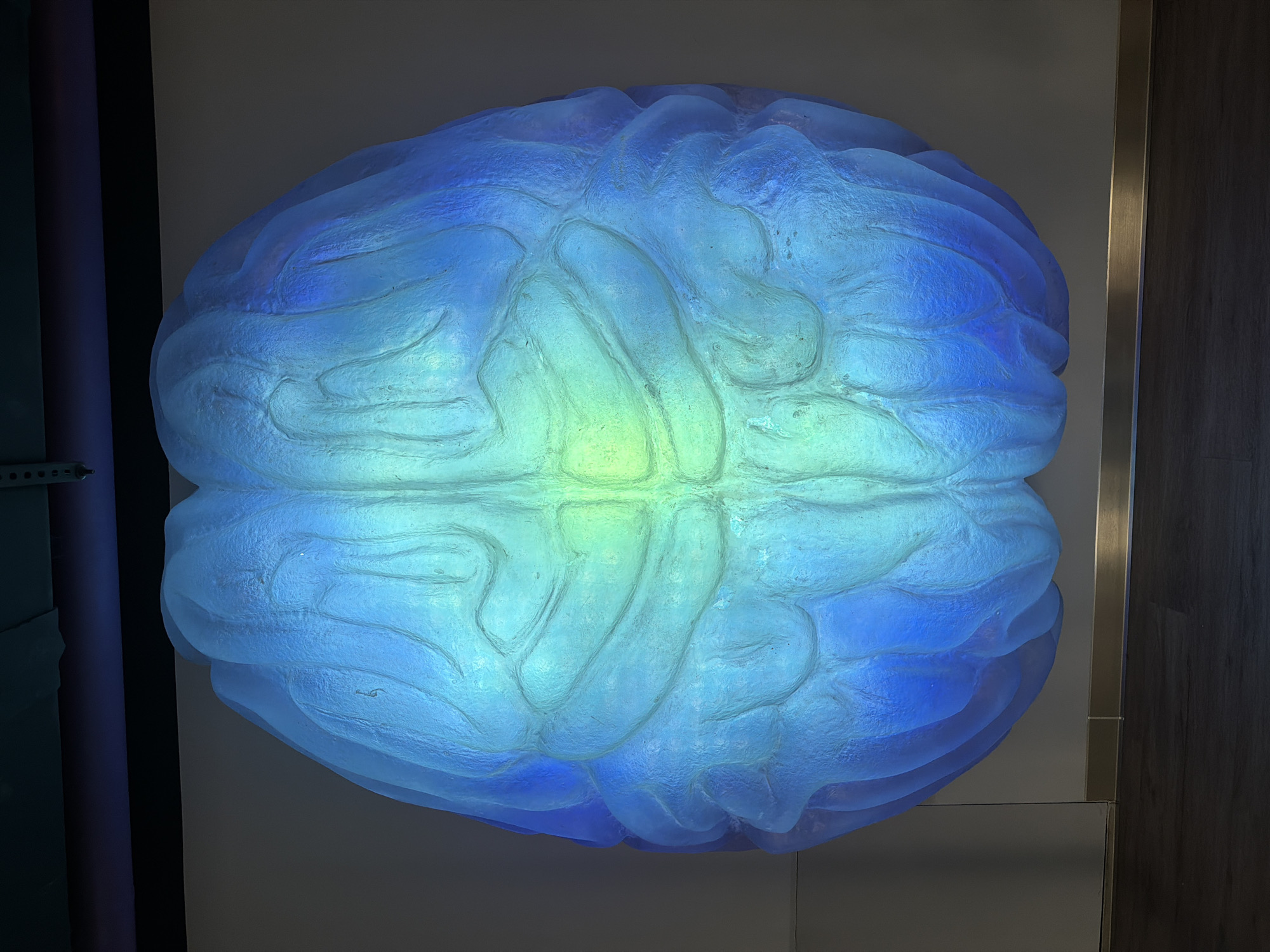 An overhead shot displays a large model of a human brain, constructed from a translucent, textured material that is illuminated from within. The model's surface has intricate contours and ridges, characteristic of the brain's anatomy. It emits a light in varying shades of blue and greenish-yellow, with the central portion appearing brighter. The brain model is mounted on a neutral-colored wall, and portions of a door frame or paneling are visible to the right of the model. A glimpse of another structure, possibly part of the exhibit or surrounding environment, can be seen to the left. Location is not able to be ascertained from the image.
