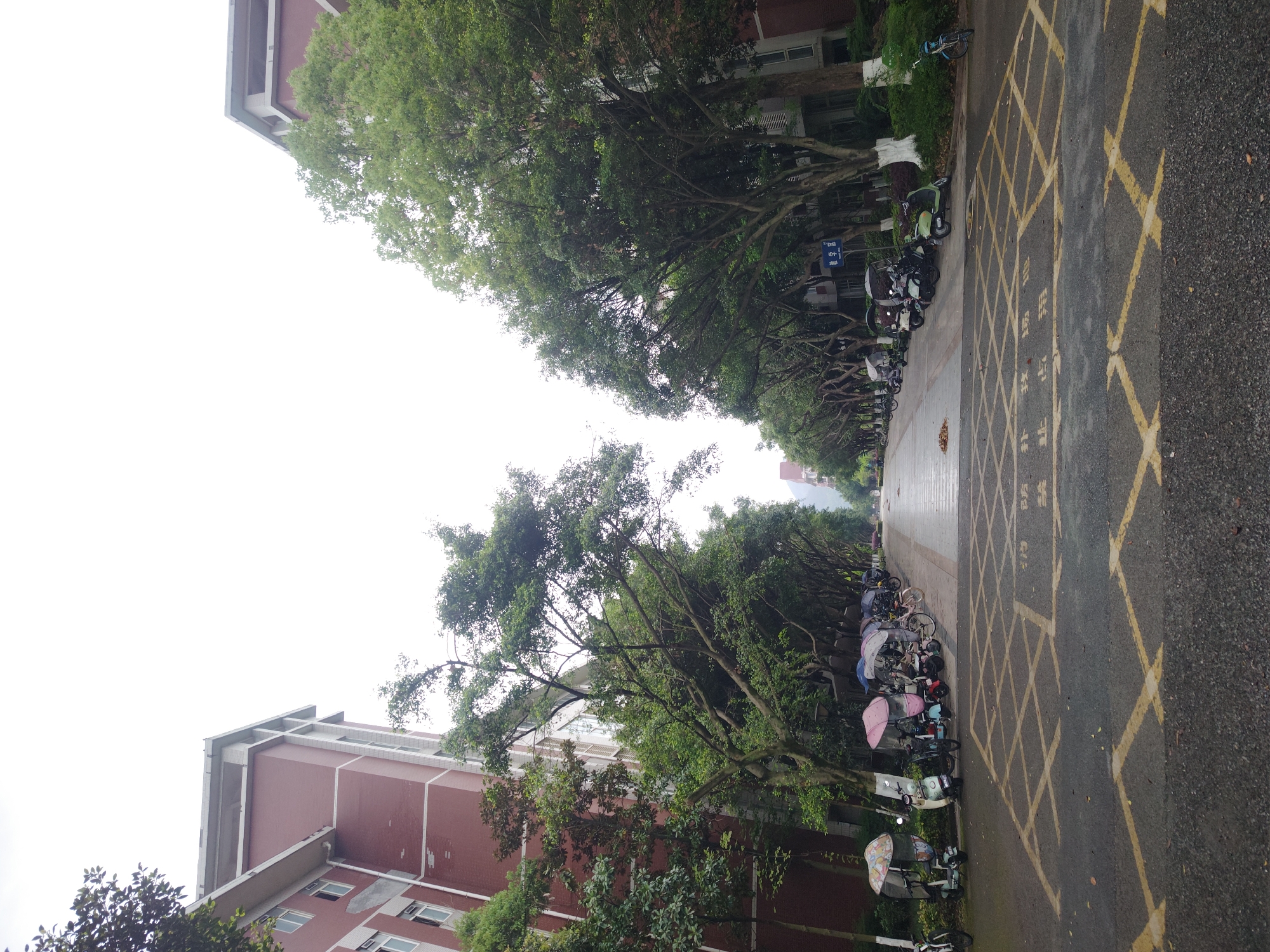 The image shows a street in the Chongqing High-tech Zone, China. The street is lined with trees and buildings. There are parked bicycles and scooters along one side of the street. Yellow cross-hatching is painted on the road surface. The sky is overcast. There are no visible people.
