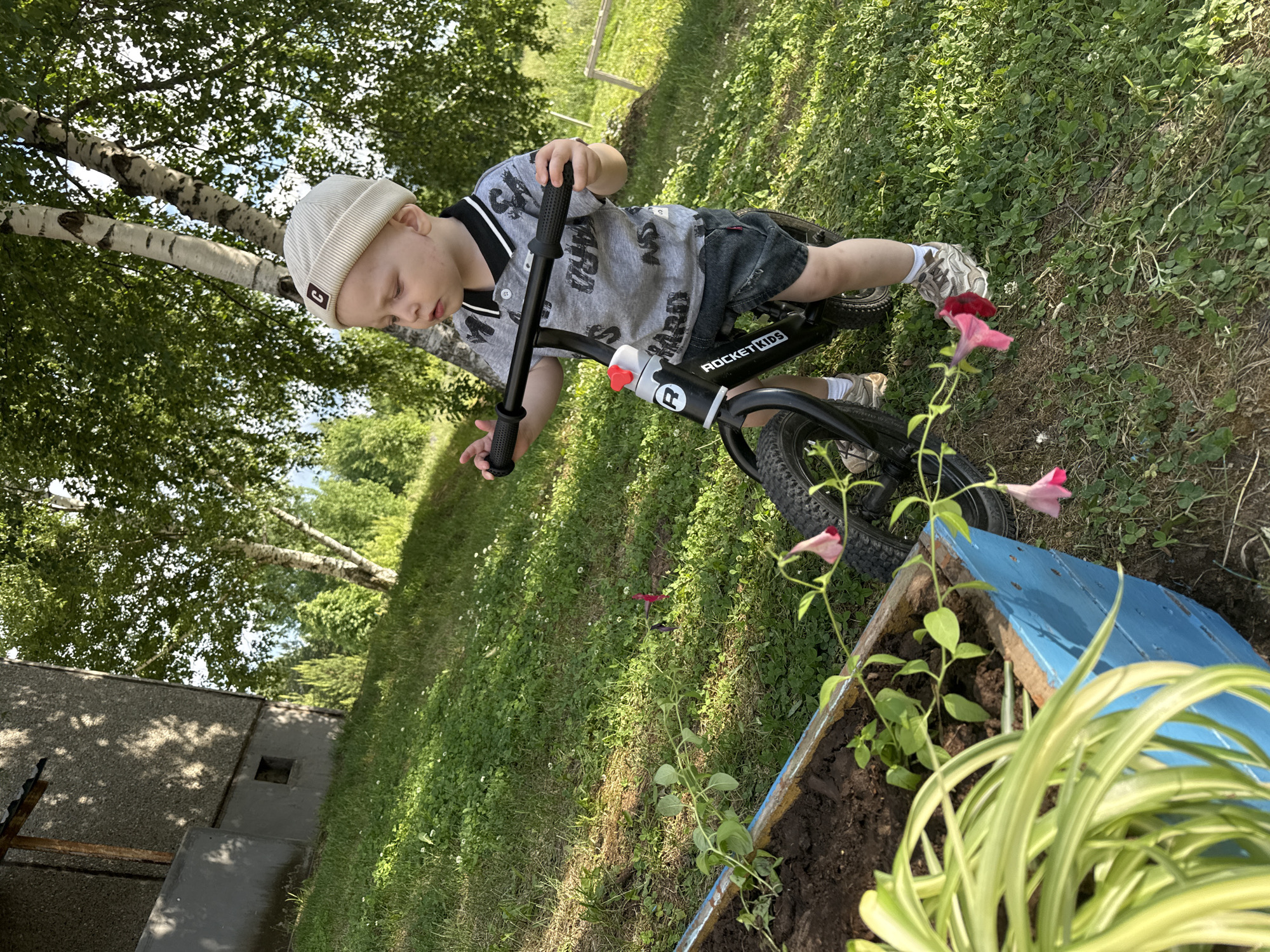 A young boy wearing a cream-colored beanie, a gray t-shirt with a black collar, and denim shorts is standing next to a balance bike. He is holding onto the handlebars of the bike, which is black with white accents. The bike has the word "ROCKETKIDS" printed on its frame. The boy is on a grassy slope next to a blue wooden planter box filled with soil and small plants. Pink petunia flowers are visible in the planter and hanging over its edge. In the background, a birch tree with green leaves stands tall, and behind it, there are more trees and foliage. A portion of a gray building is visible on the left side of the frame. The scene appears to be outdoors, possibly in the city of Марковский, Russia, on a sunny day.