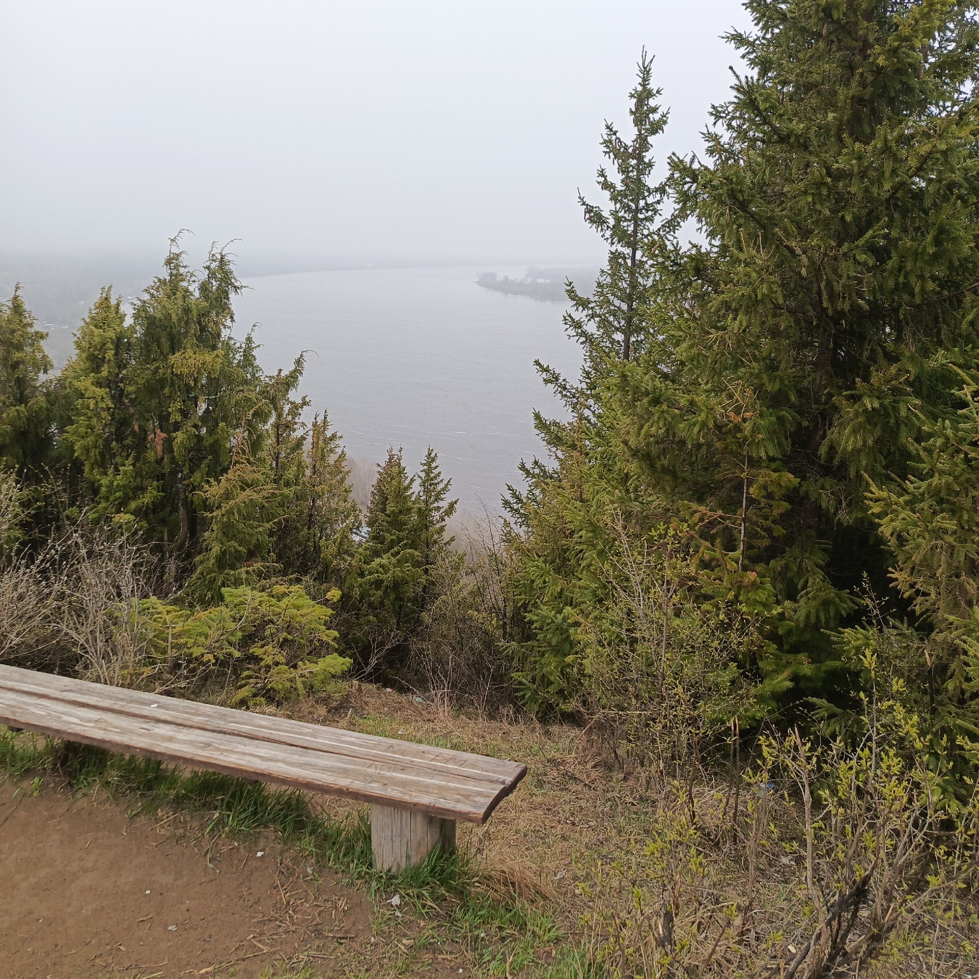 The image displays a serene, elevated landscape under an overcast and hazy sky, overlooking a wide body of water, likely a river or large lake. In the foreground, a rustic wooden bench, constructed from planks on a log support, is situated on a dirt path, suggesting a designated viewing spot.
The immediate surroundings of the bench consist of sparse green grass, dry brush, and bushes, some of which are beginning to sprout fresh light green leaves, indicating early spring. The view is framed by dense vegetation, including various coniferous trees such as tall spruces or firs, and some bushier, juniper-like evergreens. These trees and bushes extend down the slope towards the water.
The distant water surface is calm and appears greyish, blending seamlessly into the pale, indistinct horizon due to the misty or foggy weather conditions. The low visibility creates a soft, diffused light across the entire scene. There are no people visible, and no specific activities are taking place, contributing to a tranquil and quiet atmosphere. No text is visible in the image.