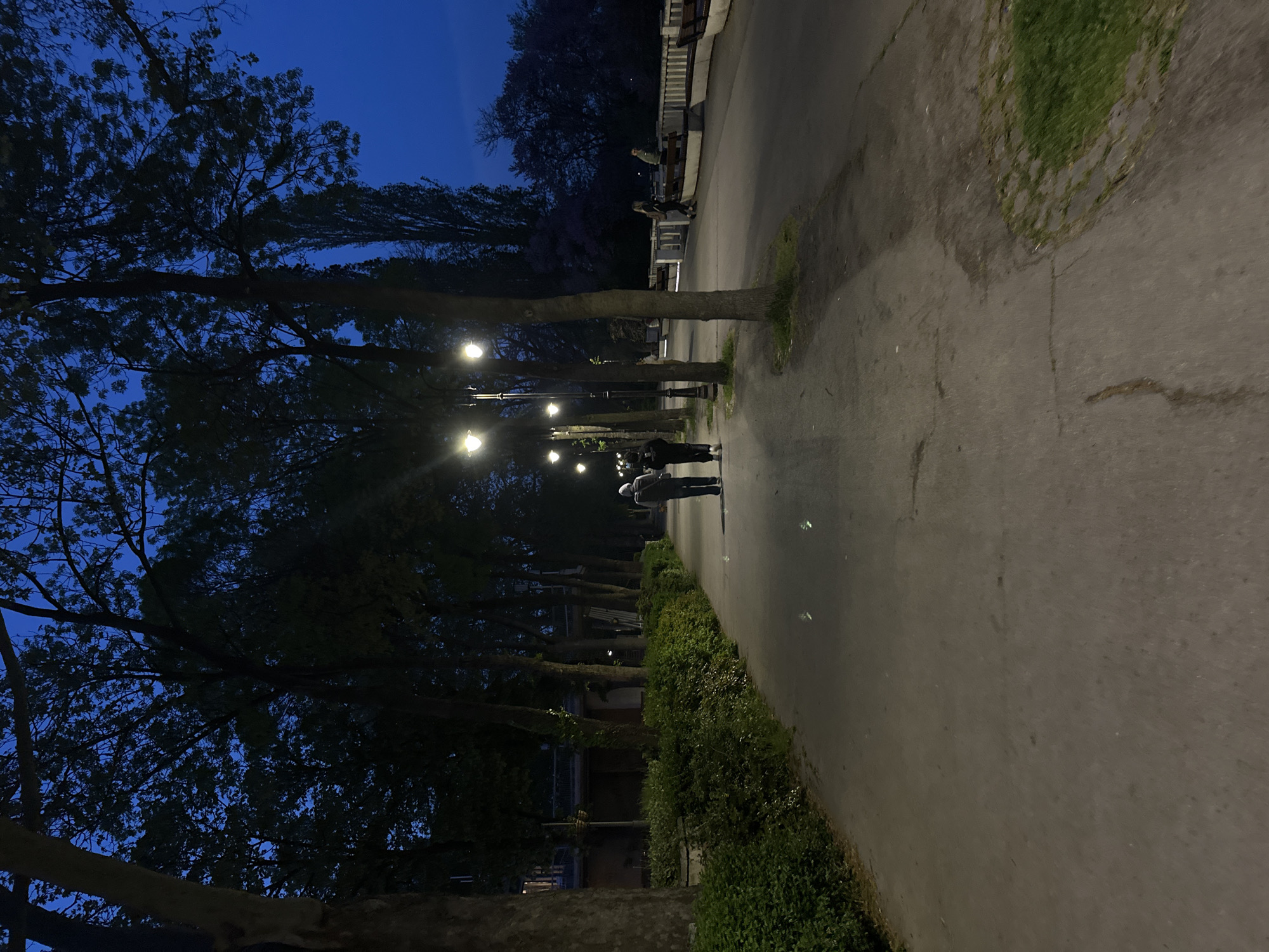 The image shows a park path in Varna, Bulgaria at dusk or night. The path is paved and lined with trees on the left and bushes on the right. Streetlights illuminate the path and the trees. Several people are walking along the path. In the upper right, there is a row of benches. The sky is a dark blue, indicating the time of day.