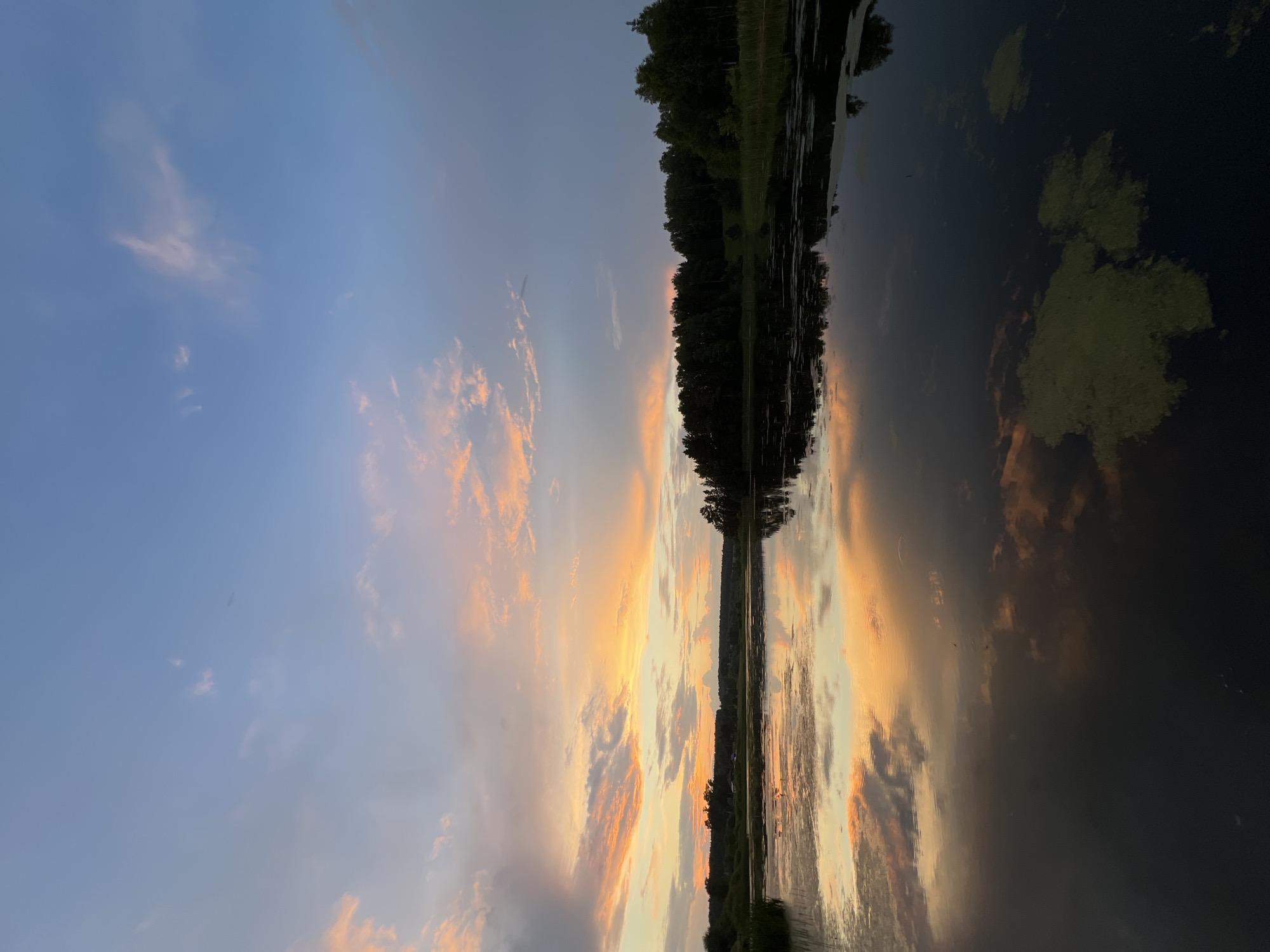 A serene, wide-angle, vertical shot captures a tranquil lake reflecting a dramatic sunset in Alnashsky District, Russia. The sky is painted with a gradient of soft blues transitioning into vibrant oranges and pinks, with wispy clouds scattered across the horizon. A dense line of dark green trees forms the background, bordering the far edge of the lake. The water's surface is remarkably still, creating a near-perfect mirror image of the sky and trees. Patches of light green aquatic vegetation dot the foreground of the water. There are no people or animals visible in the frame. The overall impression is one of peaceful solitude and natural beauty.