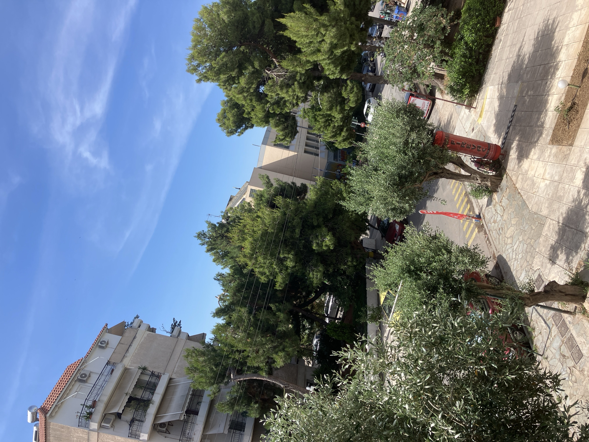 The image captures a street view in an urban environment, likely during the daytime under a clear blue sky with wispy clouds. In the foreground, lush green trees, possibly olive trees, dominate, with their branches extending into the frame. Beyond the trees, a multi-story building with a red-tiled roof and balconies is visible on the left. To the right, more trees form a dense canopy, with a modern building featuring large windows and light-colored facade behind them. The street below is paved with interlocking stones and asphalt, with parked cars and a few vehicles in motion. A large red fire extinguisher stands prominently on the sidewalk next to one of the trees. The scene depicts a typical streetscape with a blend of residential buildings, greenery, and urban infrastructure.