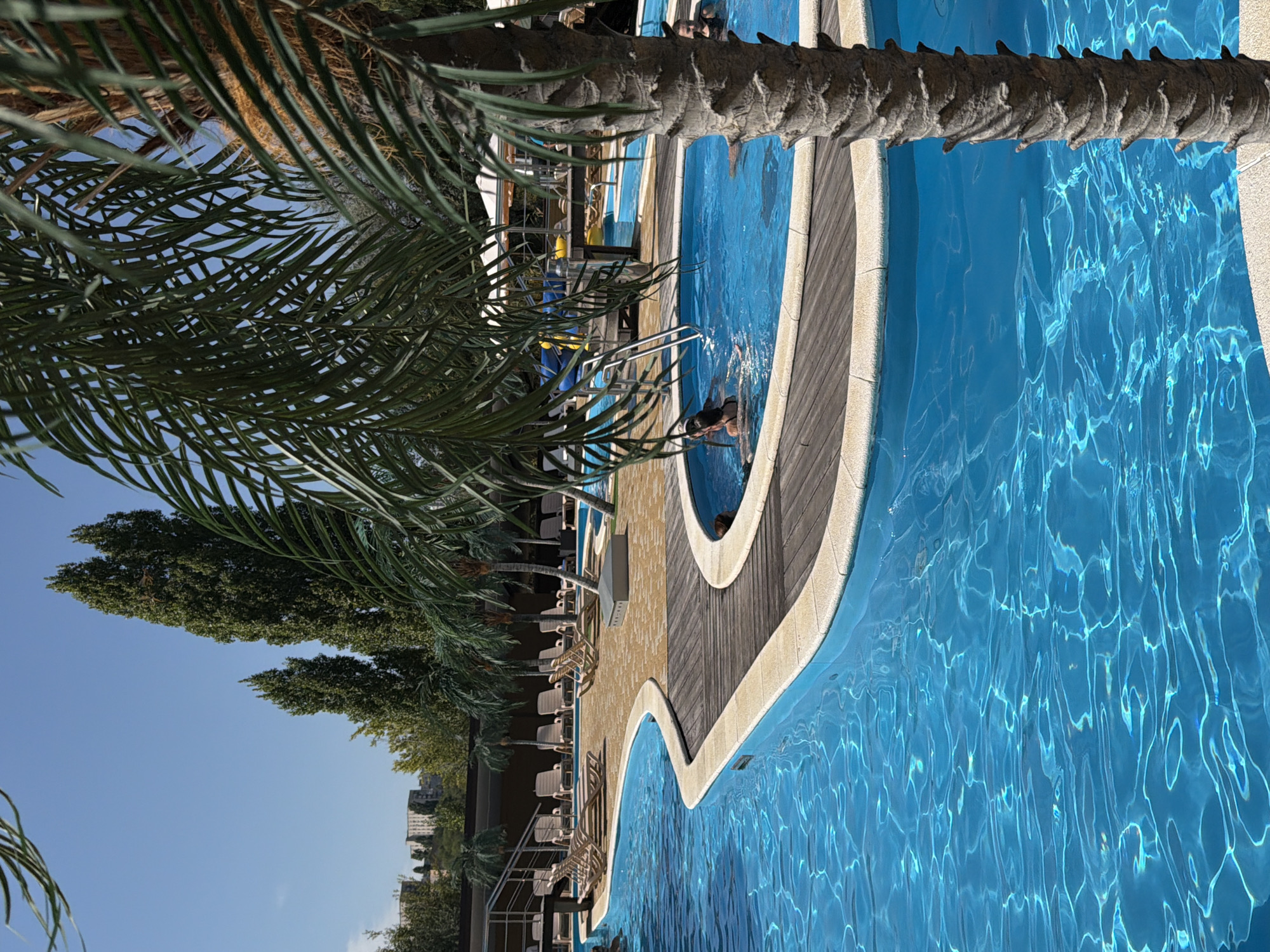 The image depicts an outdoor swimming pool area on a sunny day. The pool is filled with clear blue water, reflecting the sunlight and creating rippling patterns on the surface. Around the pool, there is a wooden deck and a light-colored paved area. Several lounge chairs are arranged on the paved area, some of which are occupied. Palm trees are visible, with one prominently in the foreground, adding a tropical feel to the scene. In the background, there are buildings and tall, slender trees. The overall setting suggests a resort or recreational facility. The location is identified as being in the city of Kamyshin, Russia.