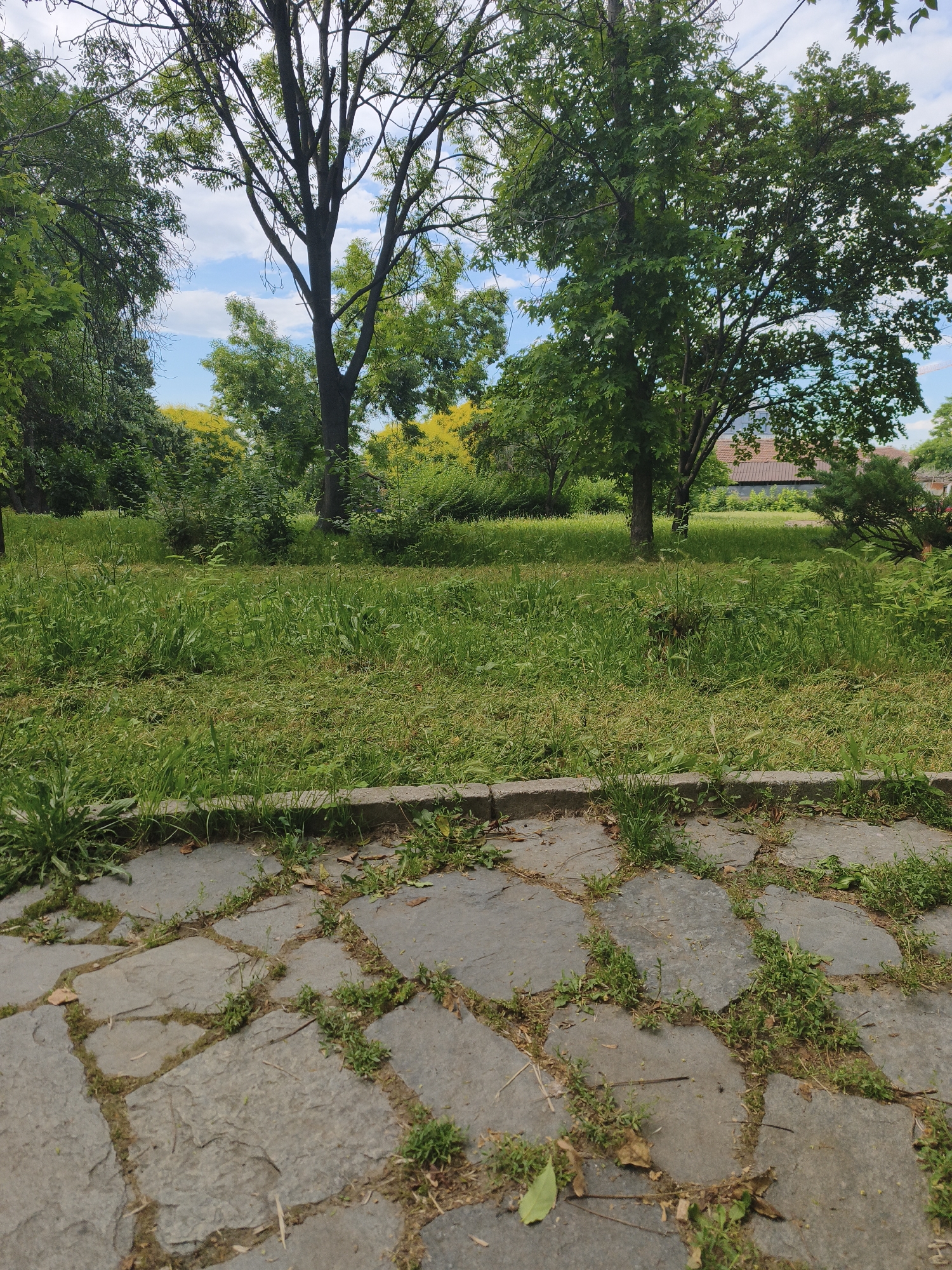 This media file is a photograph taken outdoors, depicting a park scene in Plovdiv, Bulgaria. The foreground features a stone pathway with irregularly shaped grey stones, interspersed with patches of green grass and some dried leaves. A concrete border separates the pathway from a lush green lawn.
The middle ground is dominated by a vibrant, verdant lawn with some areas of cut grass, suggesting recent maintenance. Behind the lawn, several trees with full green canopies are visible, casting shadows. In the distance, a line of trees with bright yellow foliage creates a striking contrast against the green. Beyond the trees, a building with a reddish-brown roof is partially visible, hinting at a residential or institutional setting.
The sky above is partly cloudy, with patches of blue sky interspersed with white clouds, suggesting pleasant weather, likely daytime. The overall impression is one of a peaceful, natural setting within a populated area, possibly a public park or garden. There are no people or specific objects other than natural elements and the pathway. The image captures a serene moment, evoking a sense of calm and natural beauty. No visible text is present in the image.