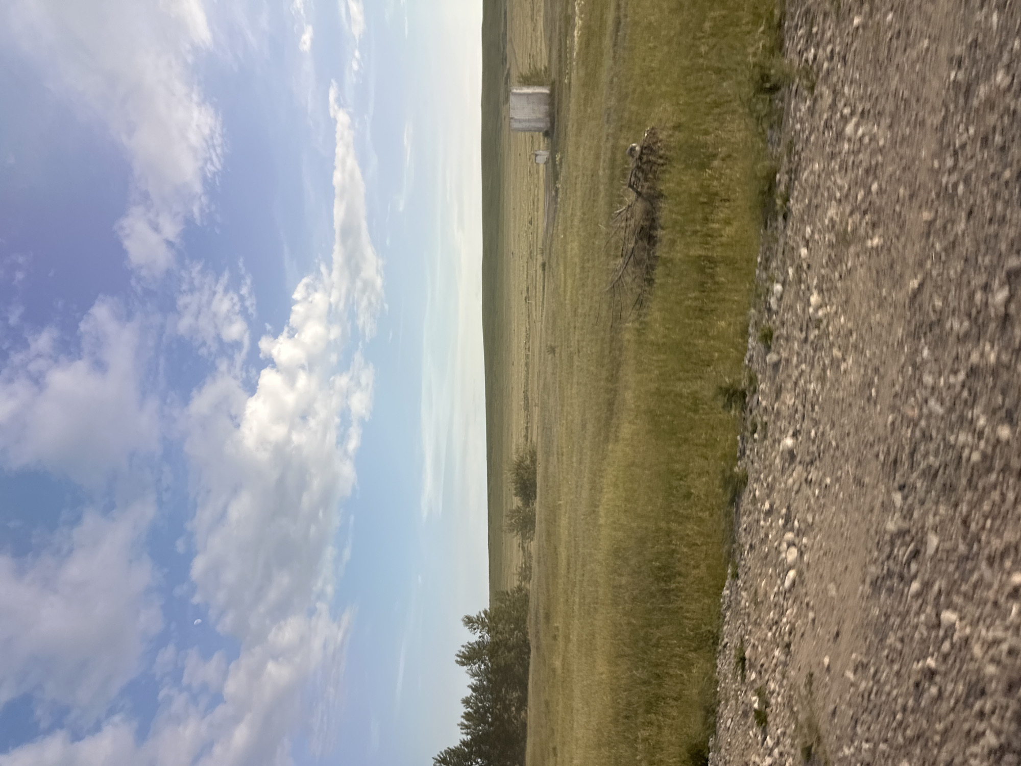 The image depicts a vast, open grassland under a pale blue sky with scattered white clouds. In the distance, a low, rolling horizon is visible. On the right side of the image, there is a small, weathered white structure, possibly a silo or water tower, with some surrounding vegetation. To the left, a line of trees or tall shrubs forms a dark green band across the landscape. In the foreground, a gravelly, uneven surface suggests a rural road or path. The overall scene conveys a sense of natural, uncultivated space. There are no people or visible signs of recent human activity besides the distant structure and the foreground path. The lighting suggests it is either early morning or late afternoon, with a soft, diffused sunlight. The location is identified as Novonikolaevka, Russia.