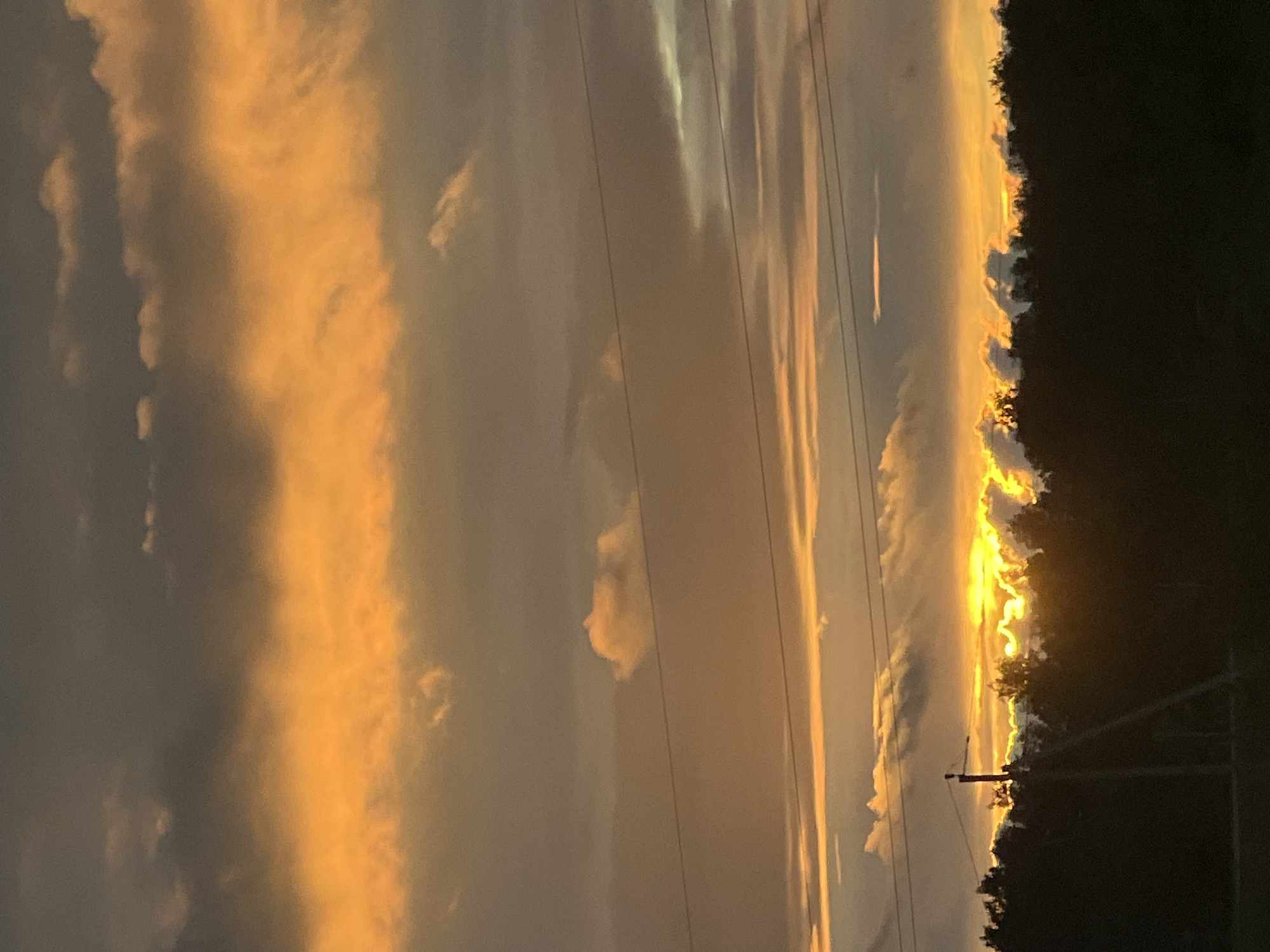 The image shows a dramatic sunset over a silhouetted treeline, likely on the outskirts of Kamenka, Russia. The sky is filled with layered clouds, with the lower clouds illuminated by the setting sun in vibrant shades of orange and yellow, contrasting with the darker, grayer clouds above. Several power lines stretch horizontally across the frame, bisecting the sky. In the foreground, the dark silhouette of trees forms a dense band across the bottom of the image, with a utility pole and some diagonal support structures visible on the left side. The overall impression is one of natural beauty and the vastness of the sky.
