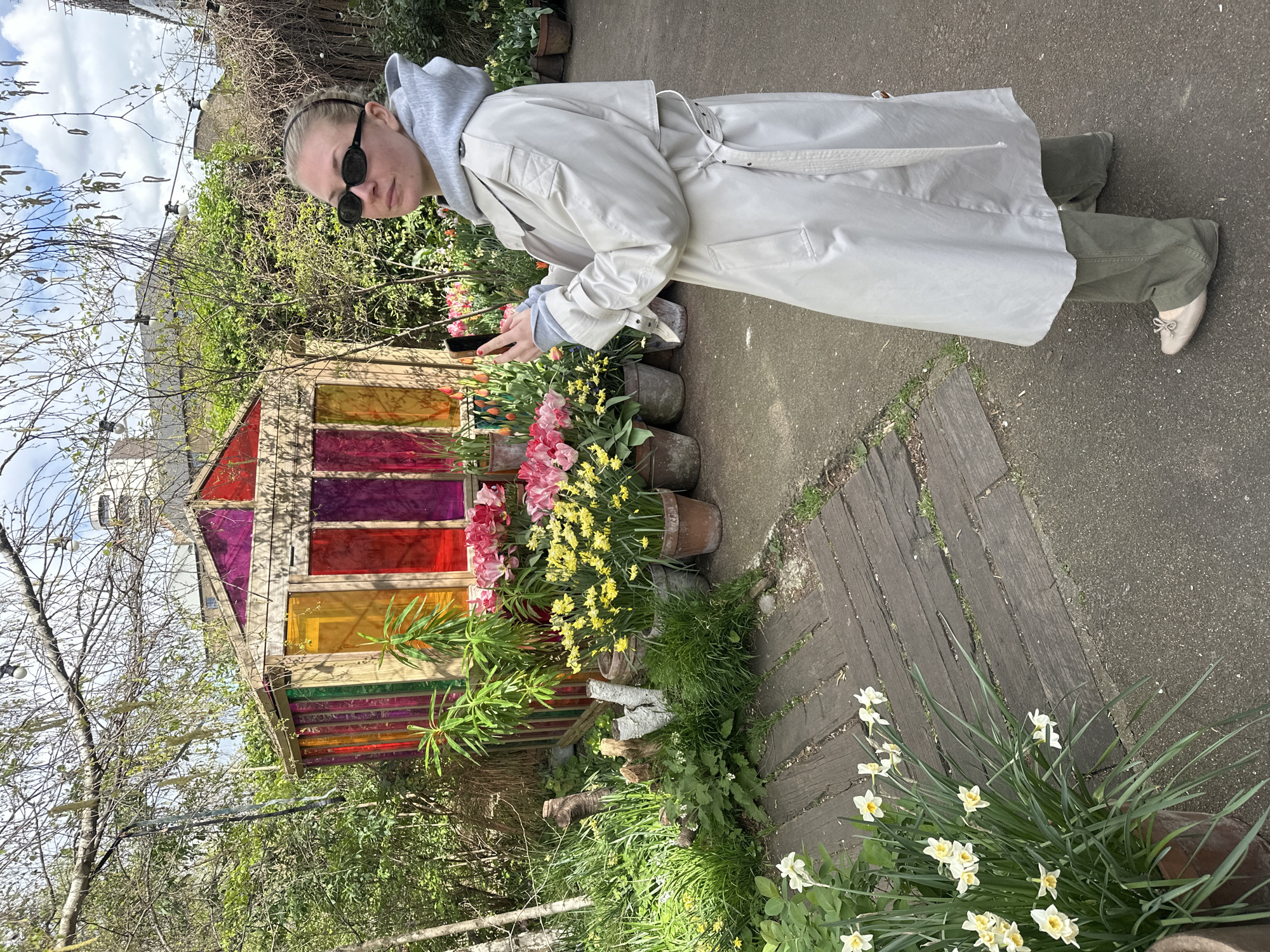 The image depicts a person standing in a garden setting, likely in London, United Kingdom. The individual wears sunglasses, a grey hooded sweatshirt under a beige trench coat, and green trousers with beige shoes. They are holding a mobile phone in their hands. A small wooden structure with multicolored panes of glass (red, purple, orange, green) is positioned near the person. Plants and flowers, including pink tulips, yellow daffodils, and white daffodils, surround the wooden structure and line a wooden pathway. A concrete path is visible to the right of the wooden pathway. Trees and other greenery form a backdrop to the scene, with a glimpse of a building visible in the background.