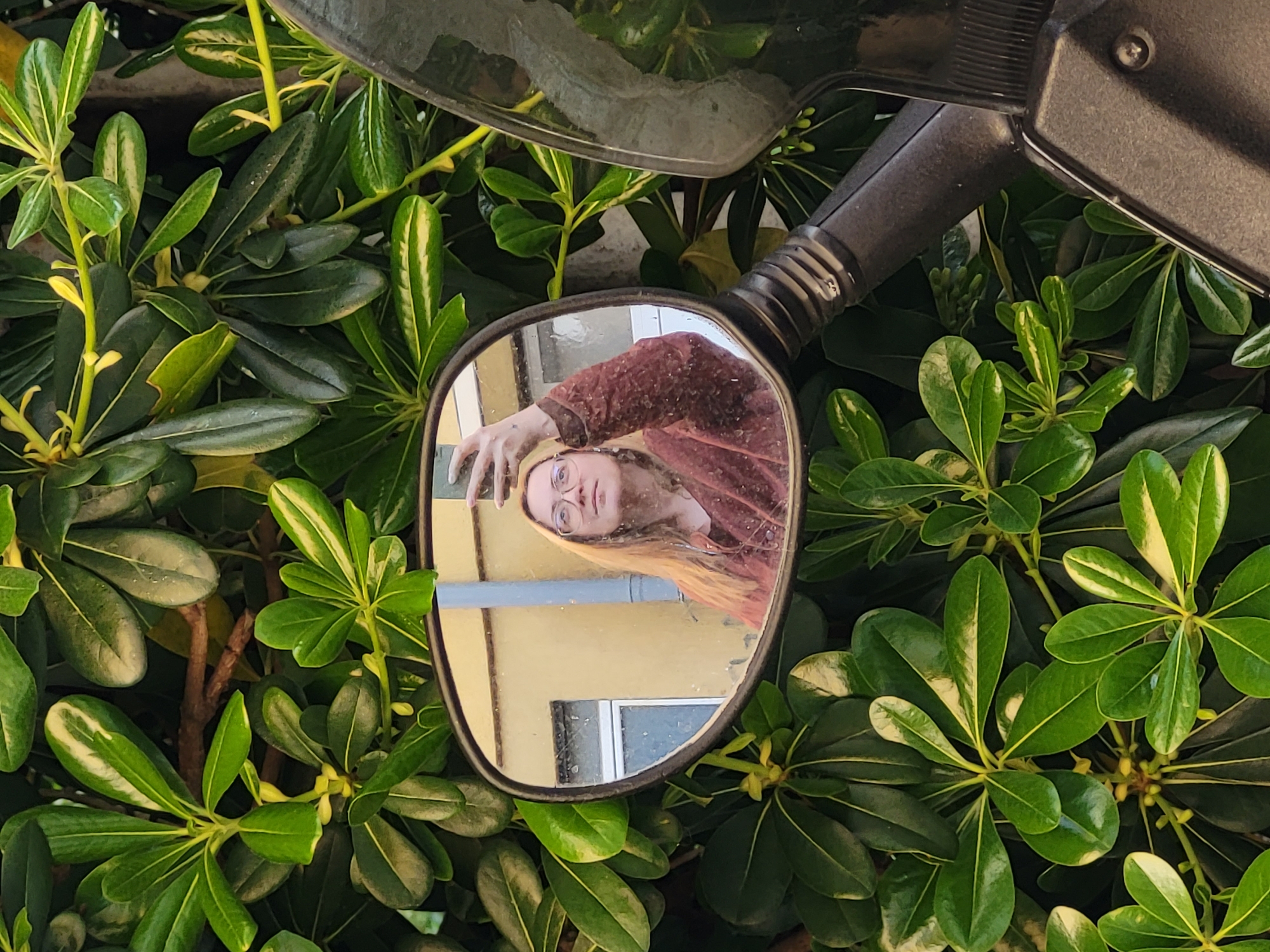 A medium-shot captures a rearview mirror surrounded by a green leafy plant. The mirror reflects a woman with blonde hair wearing glasses and a reddish-brown jacket, holding a mobile phone up as if taking a selfie. The background visible in the mirror shows a yellow wall with a window. The leaves around the mirror are a mix of dark and light green, some with a white edge. The scene is bathed in natural daylight. The location may be in Budva, Montenegro.